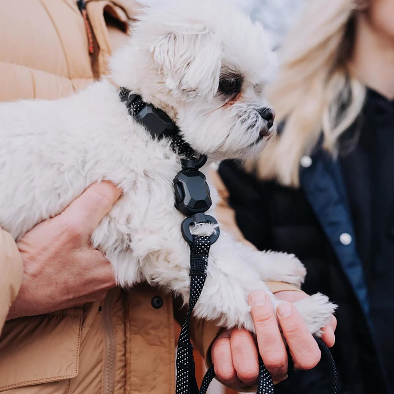 Hooza Quick Clip Reflective Leash - view number 4