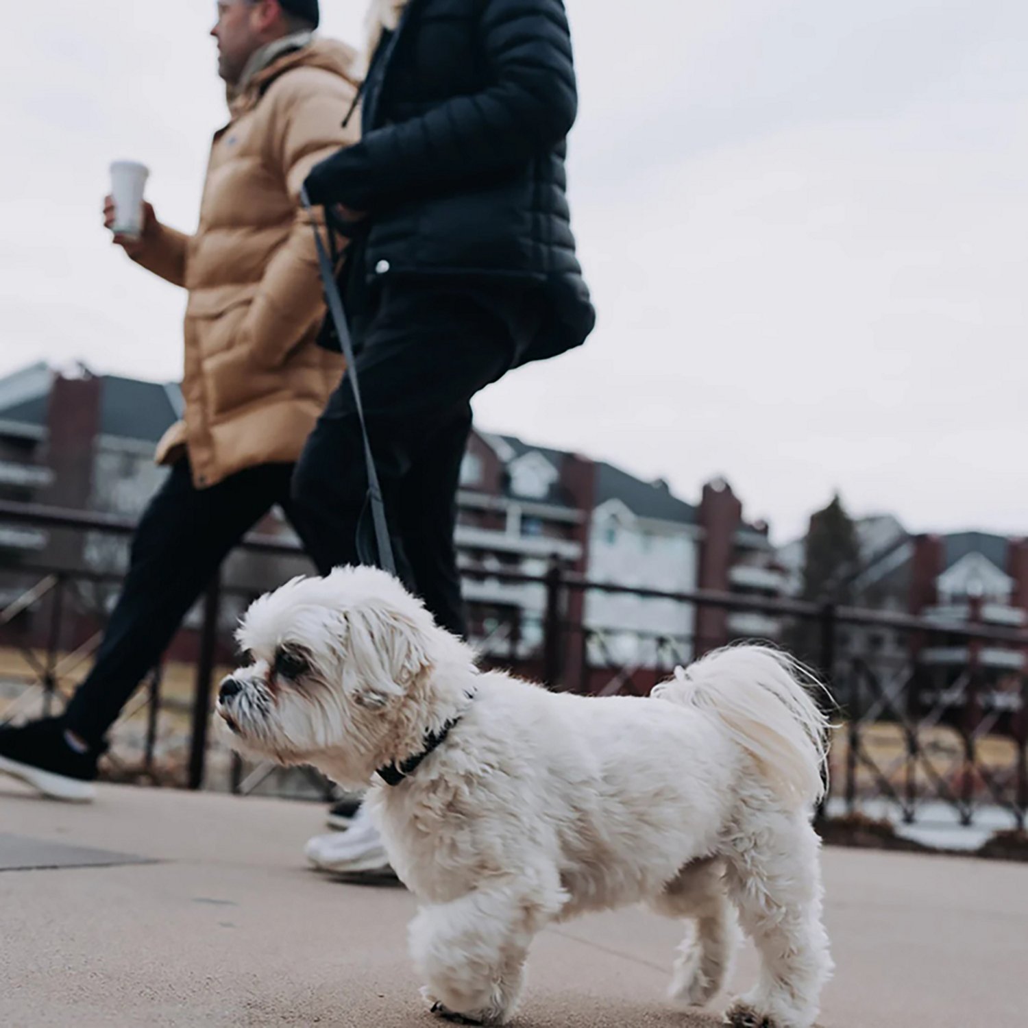 Hooza Quick Clip Reflective Leash - view number 6