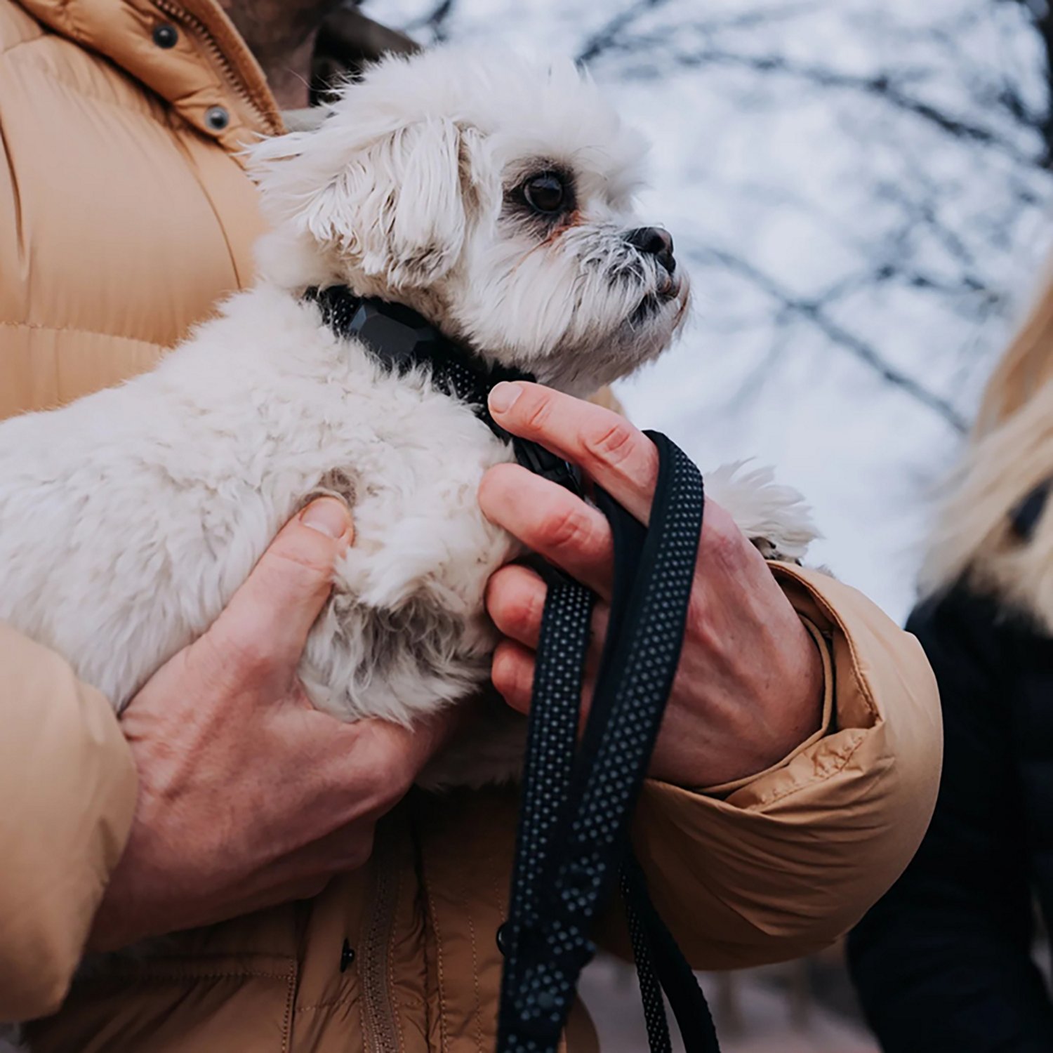 Hooza Quick Clip Reflective Leash - view number 7