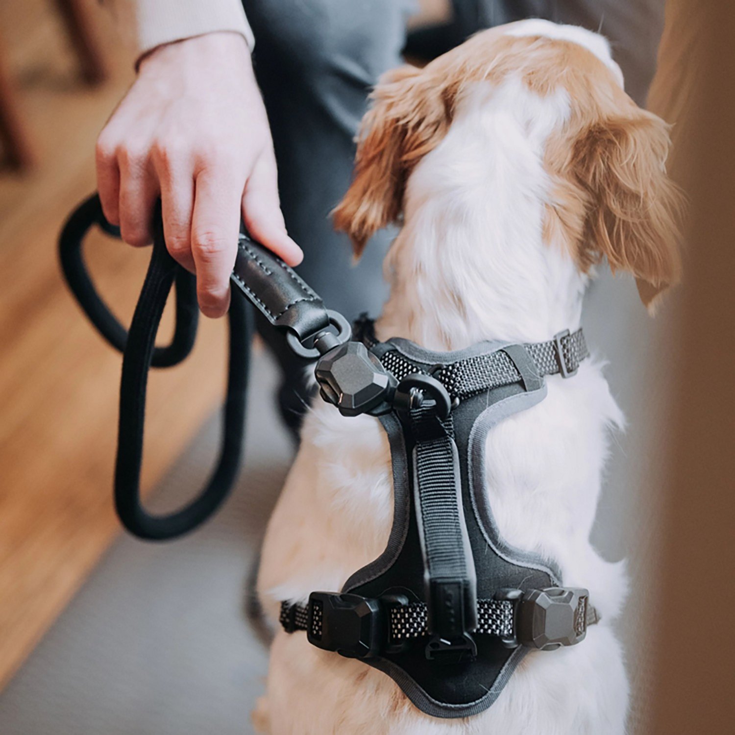 Hooza Quick Clip Rope Leash - view number 3