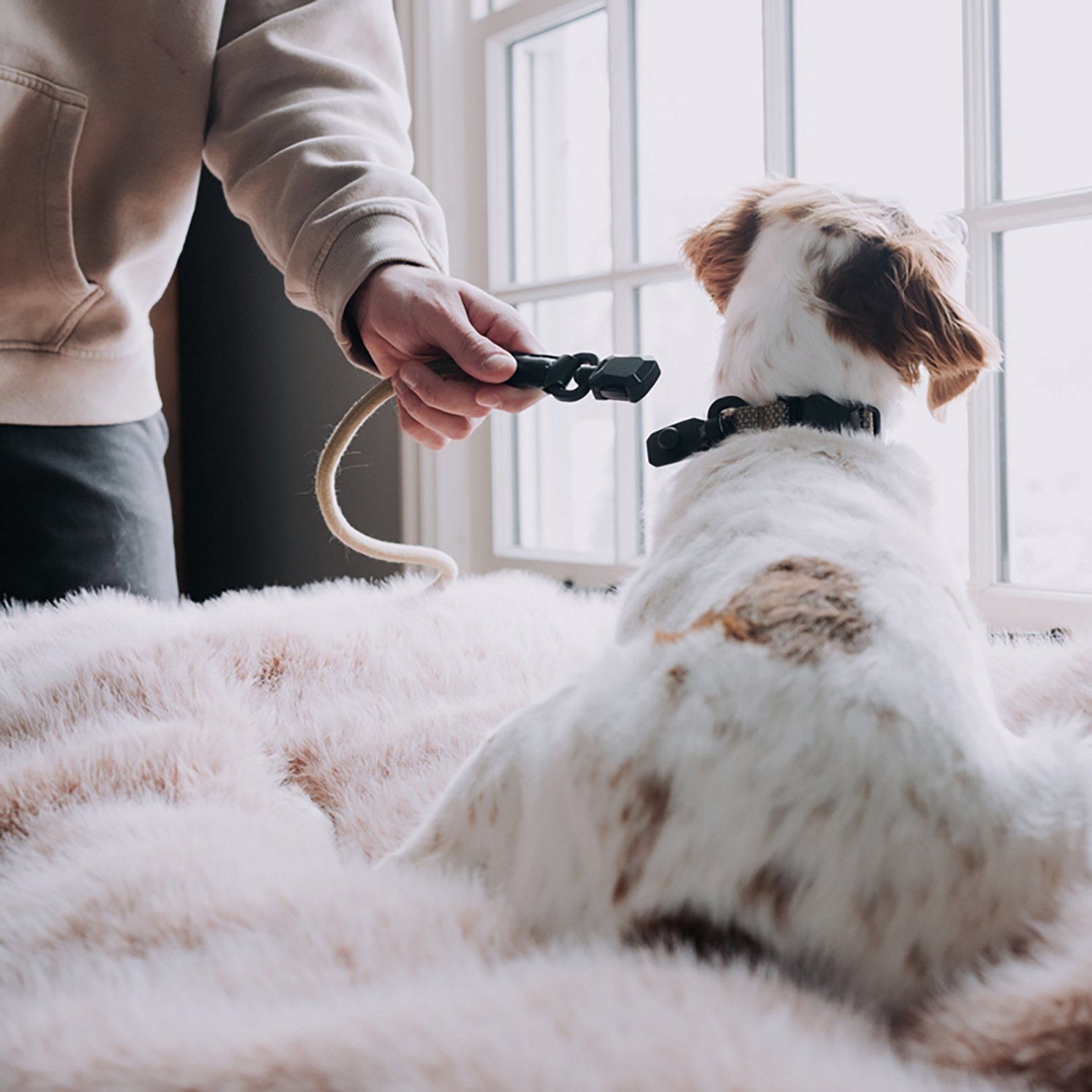 Hooza Quick Clip Rope Leash - view number 3