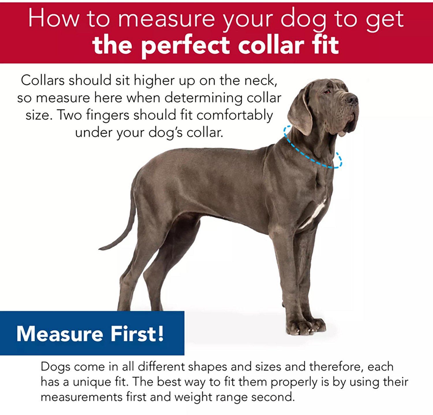 Pro Active Woven Reflective Collar - view number 4
