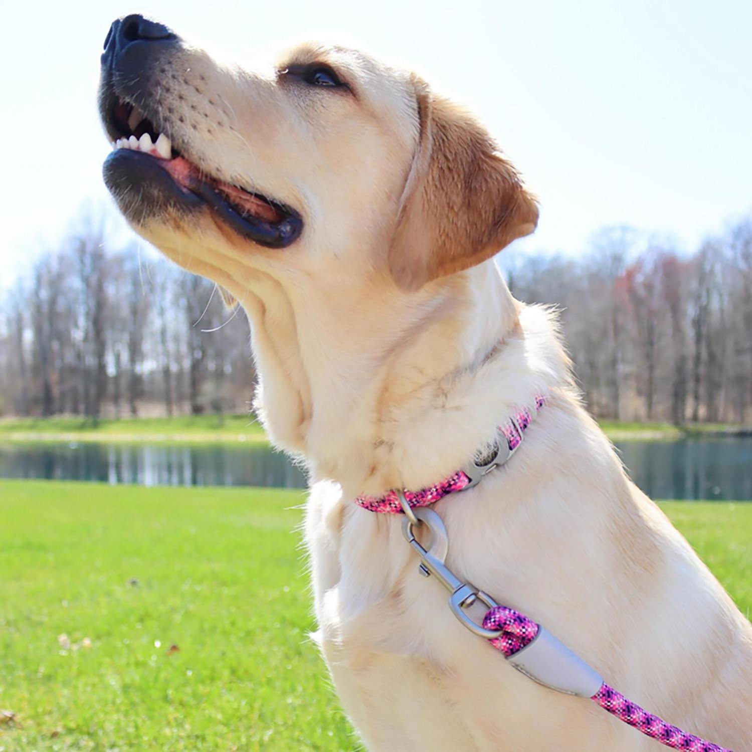 Pro Active Woven Reflective Collar - view number 7