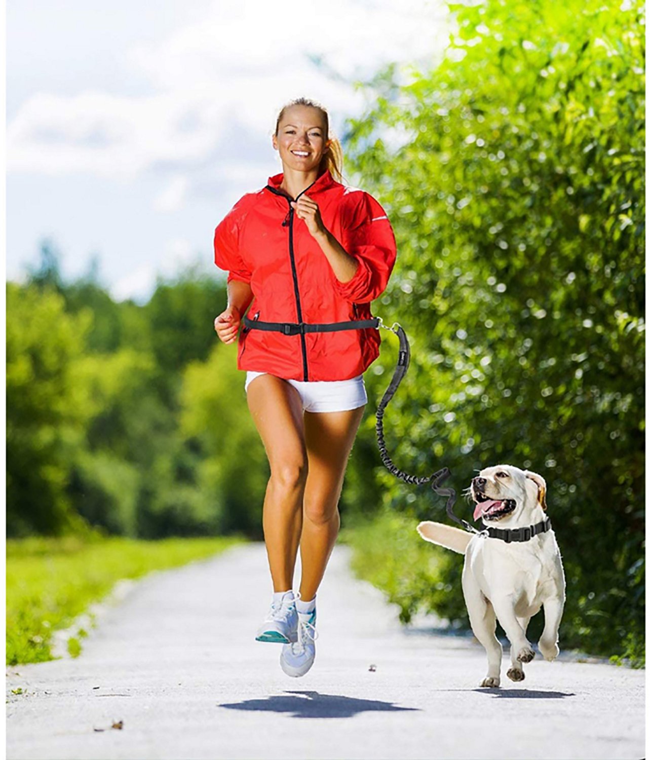 Jespet & Goopaws Hands-Free Bungee Dog Leash - view number 6