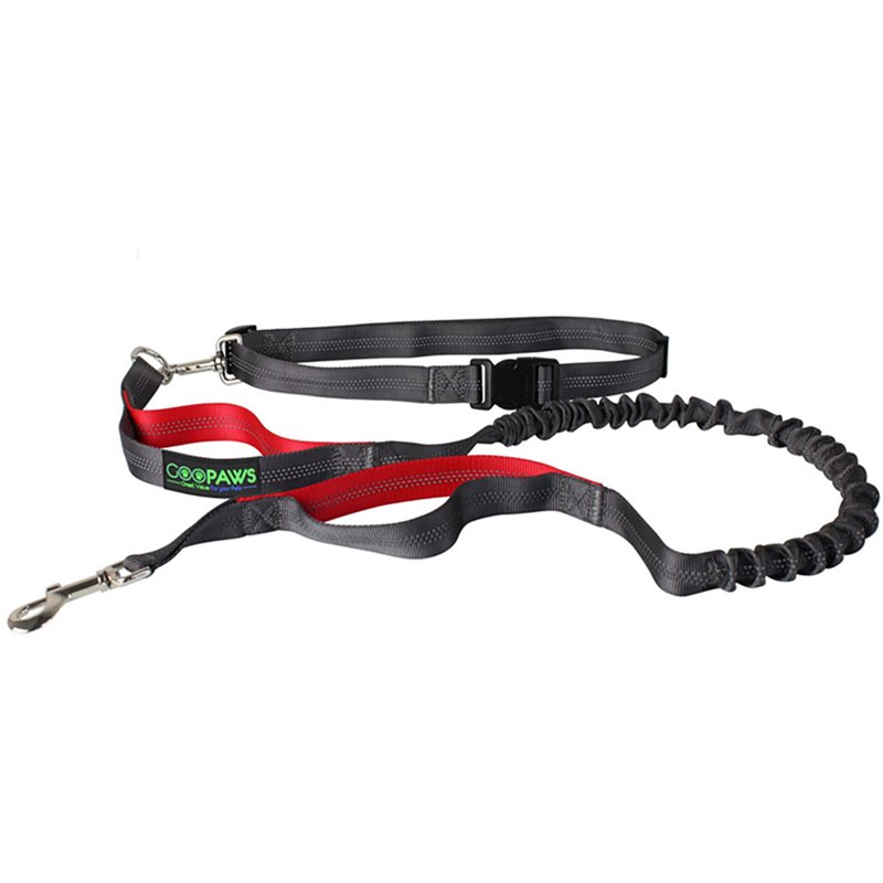 Jespet & Goopaws Ha…