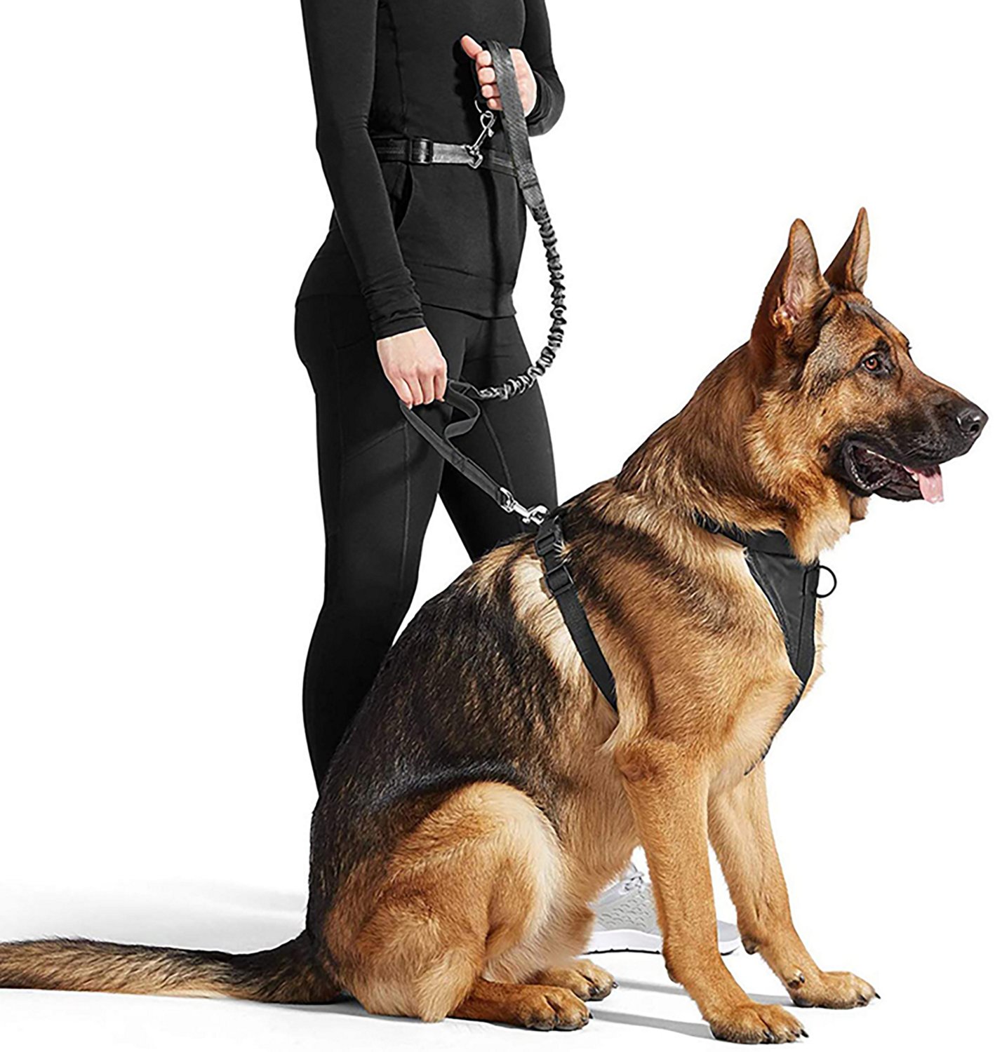 Jespet & Goopaws Hands-Free Bungee Dog Leash - view number 4