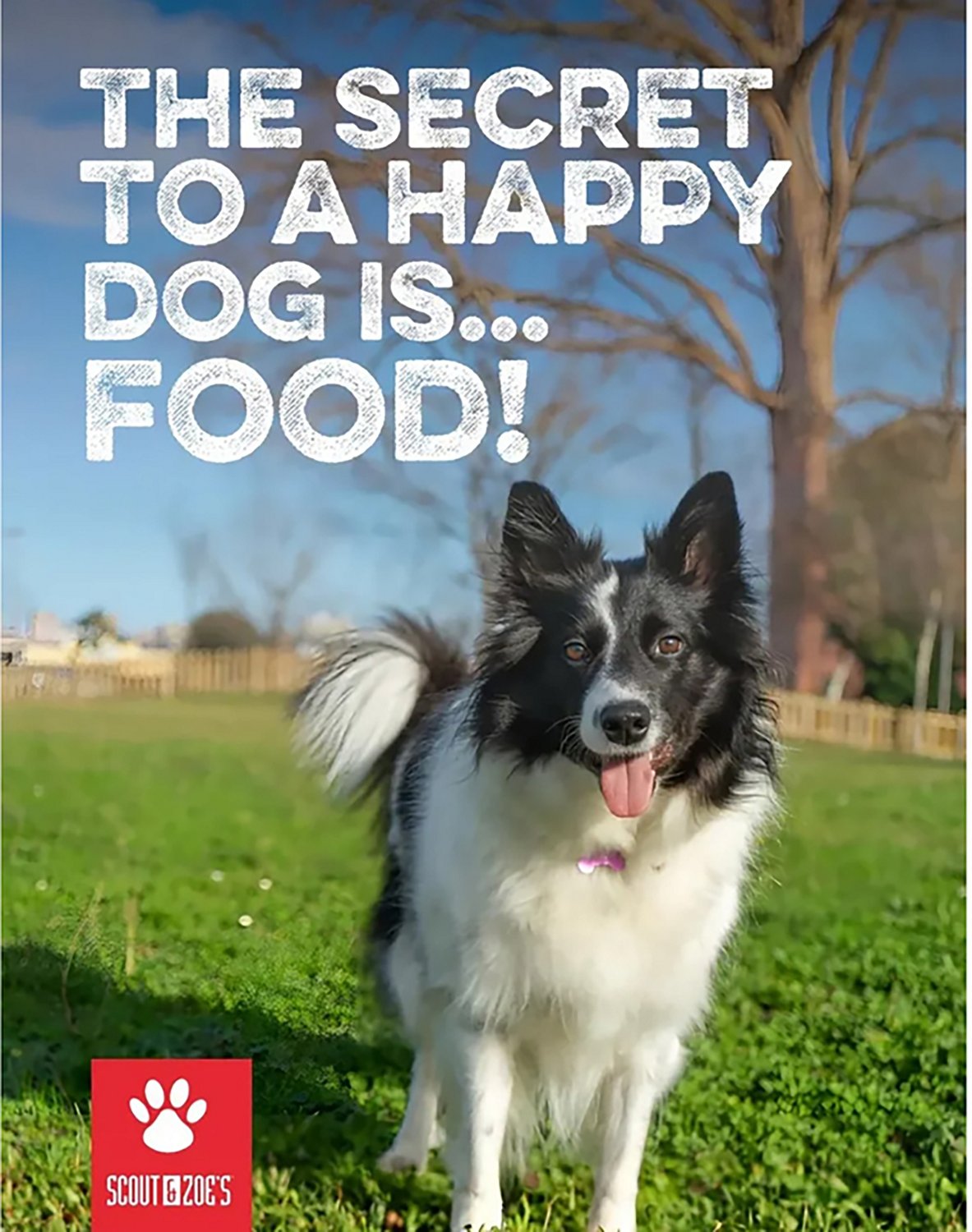 Scout & Zoe's Chophouse Ready Raw 9 oz Super Fly Bag - view number 6