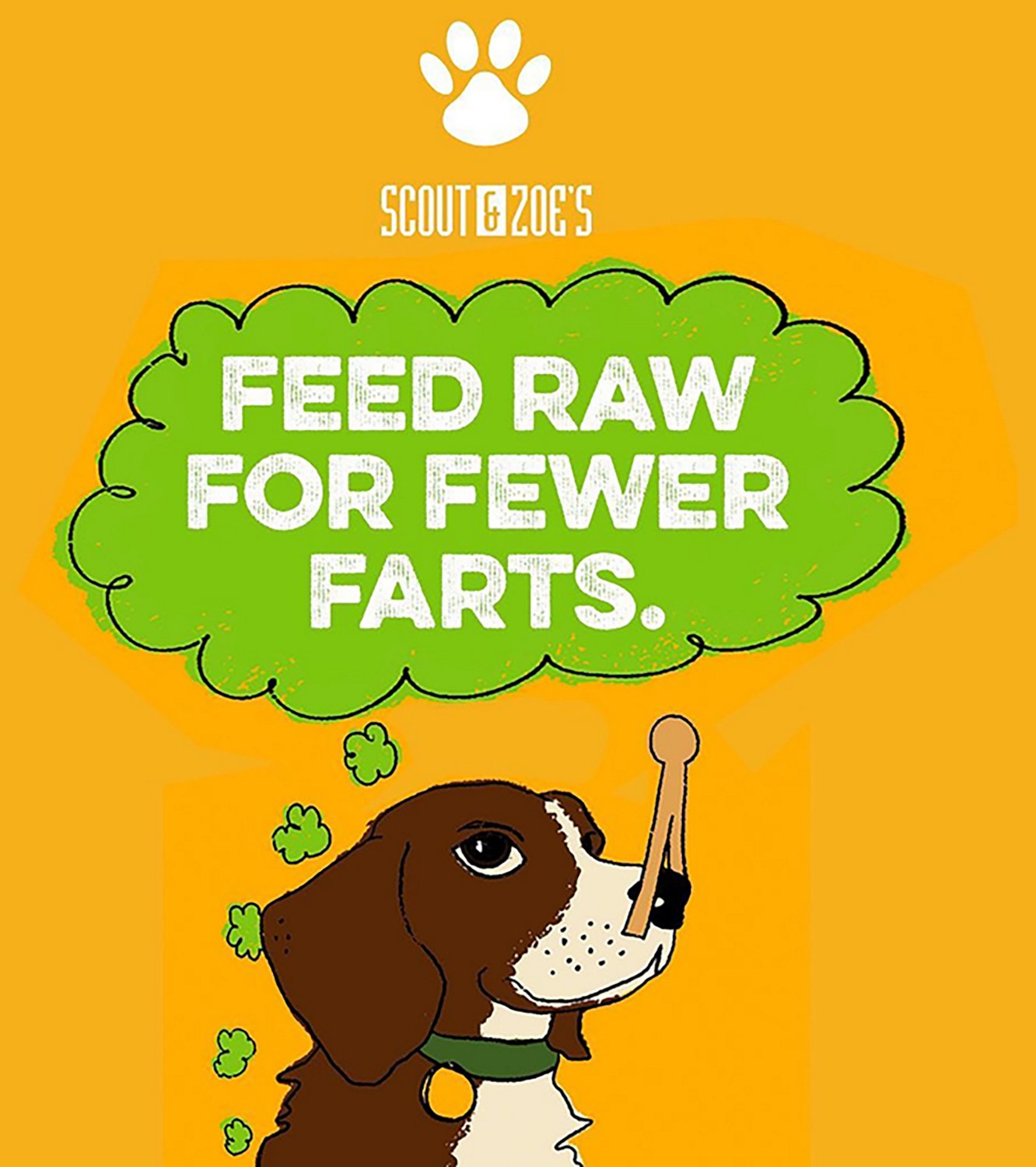 Scout & Zoe's Chophouse Ready Raw 9 oz Super Fly Bag - view number 7