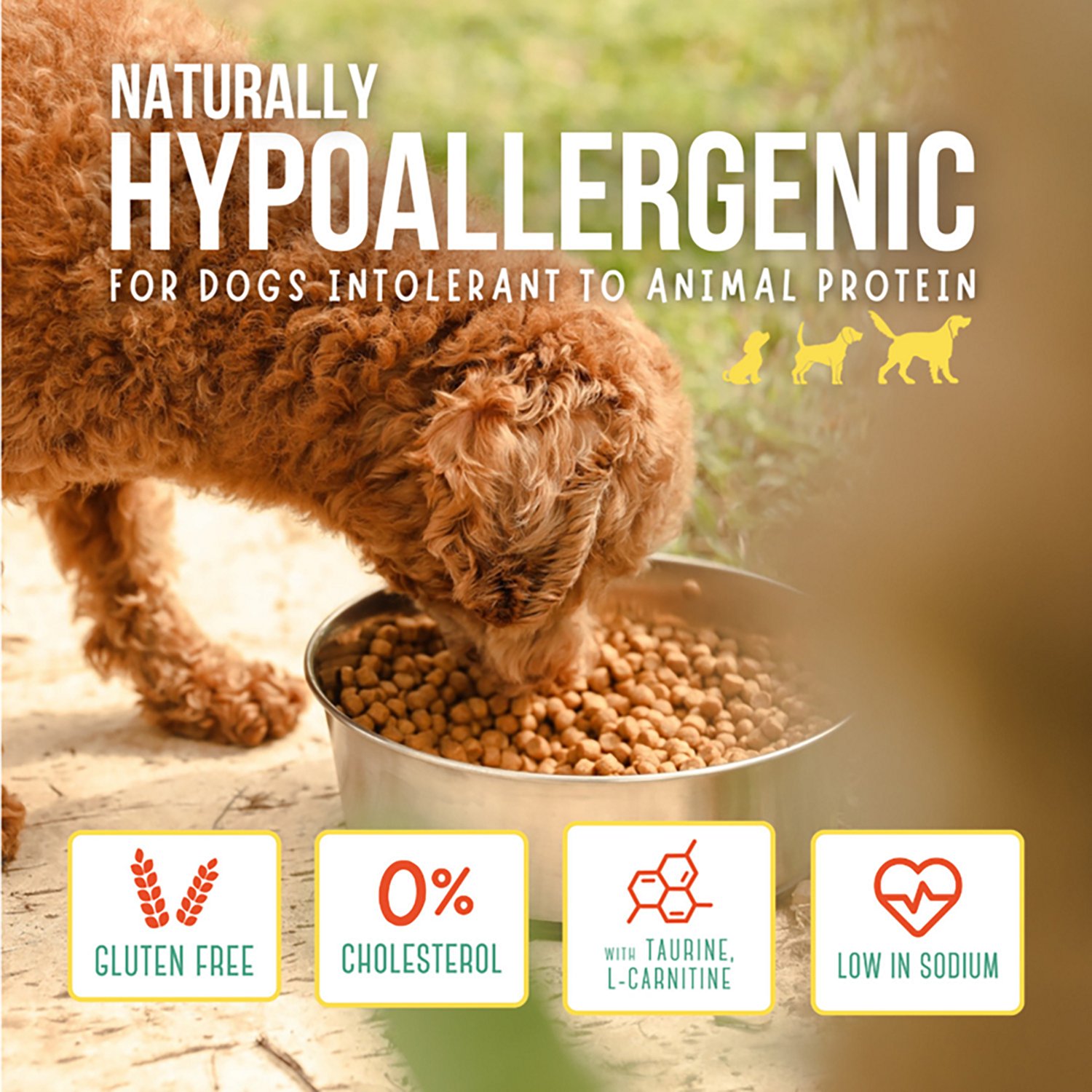 The Green Dog Super Premium Puppies 6.6 lb Dog Food Bag - view number 6