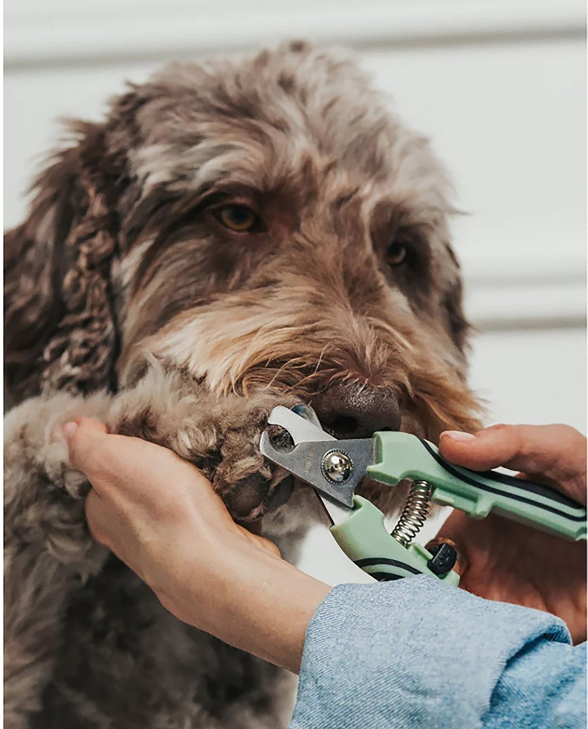 Dexypaws Pet Nail Clipper - view number 4