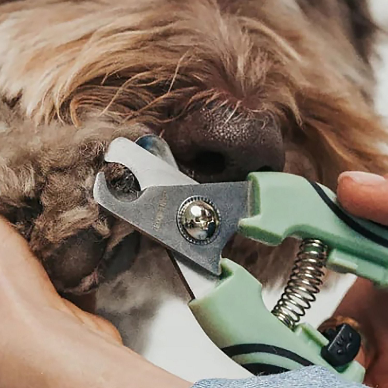 Dexypaws Pet Nail Clipper - view number 6