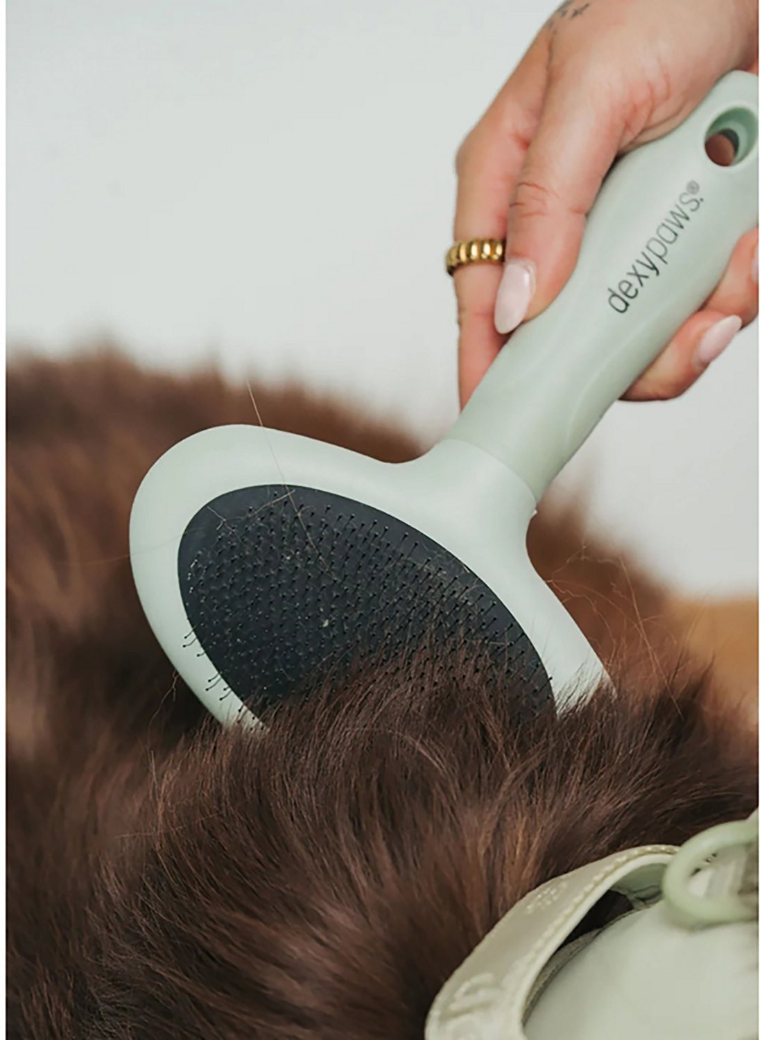 Dexypaws Pet Slicker Brush - view number 2
