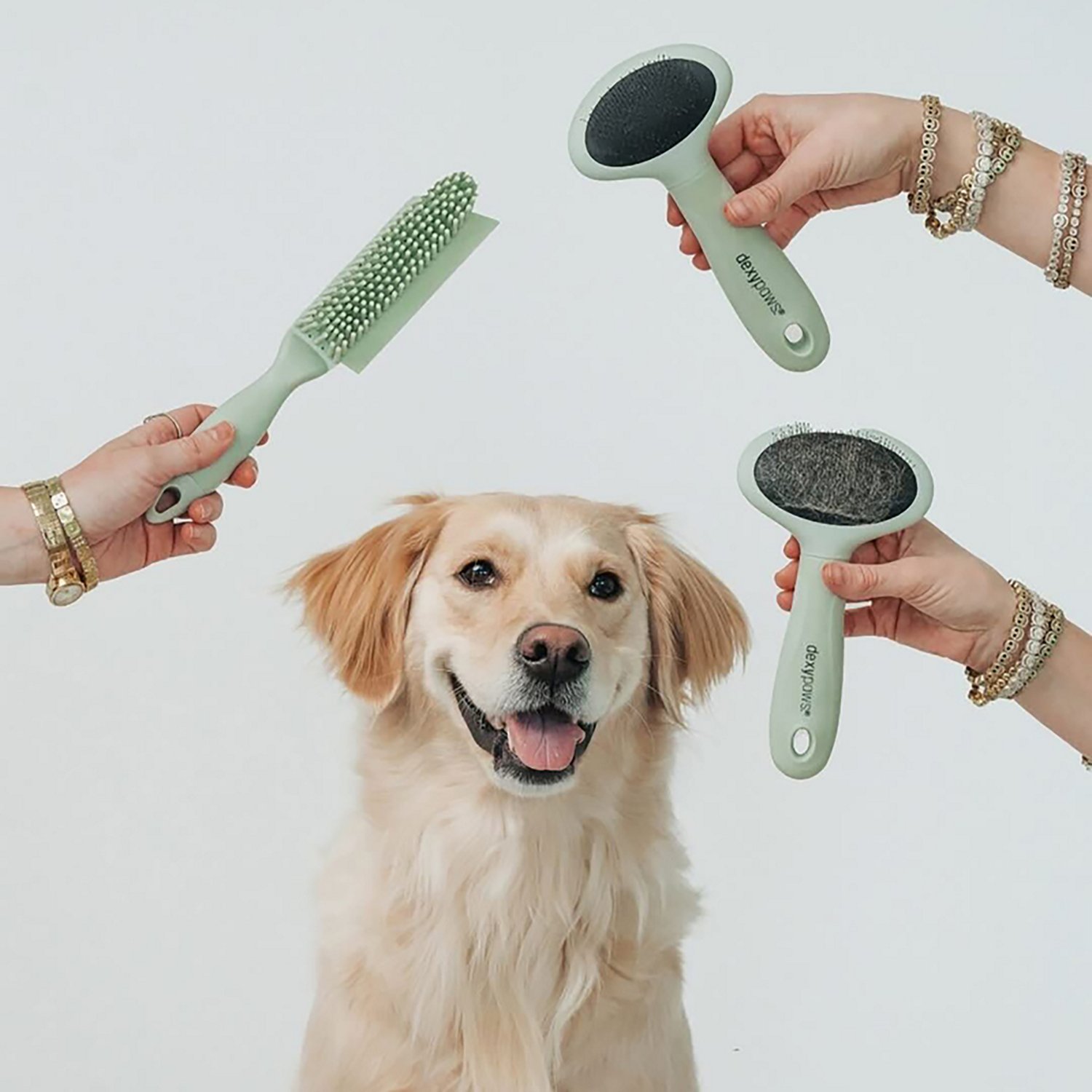Dexypaws Pet Slicker Brush - view number 4