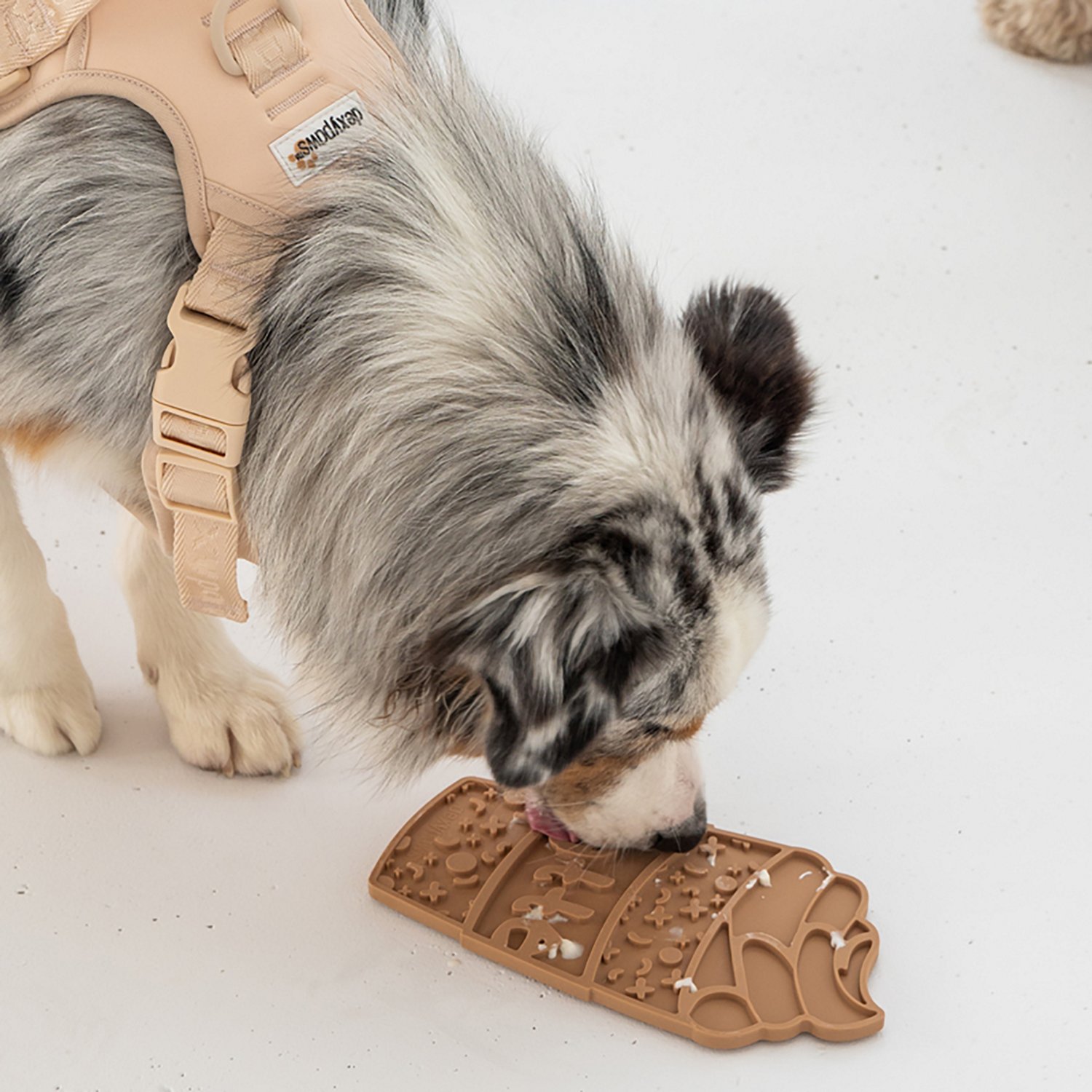 Dexypaws Pup-accino Enrichment Lick Mat - view number 3