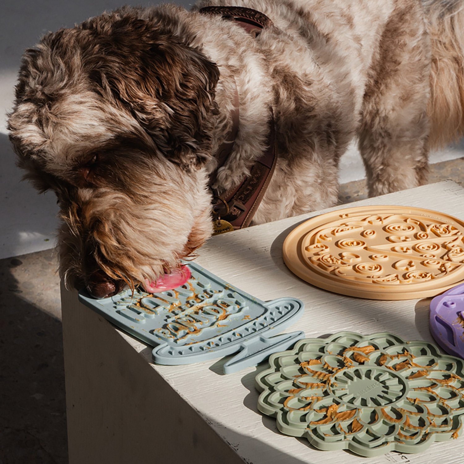 Dexypaws Seafoam Bark Day Bash Enrichment Lick Mat - view number 5