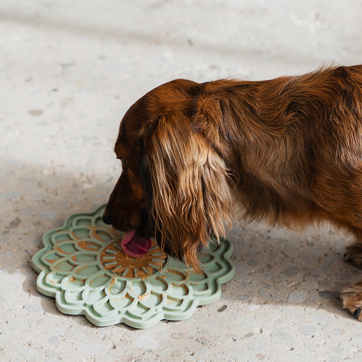 Dexypaws Sage Green Blooming Blossom Enrichment Lick Mat