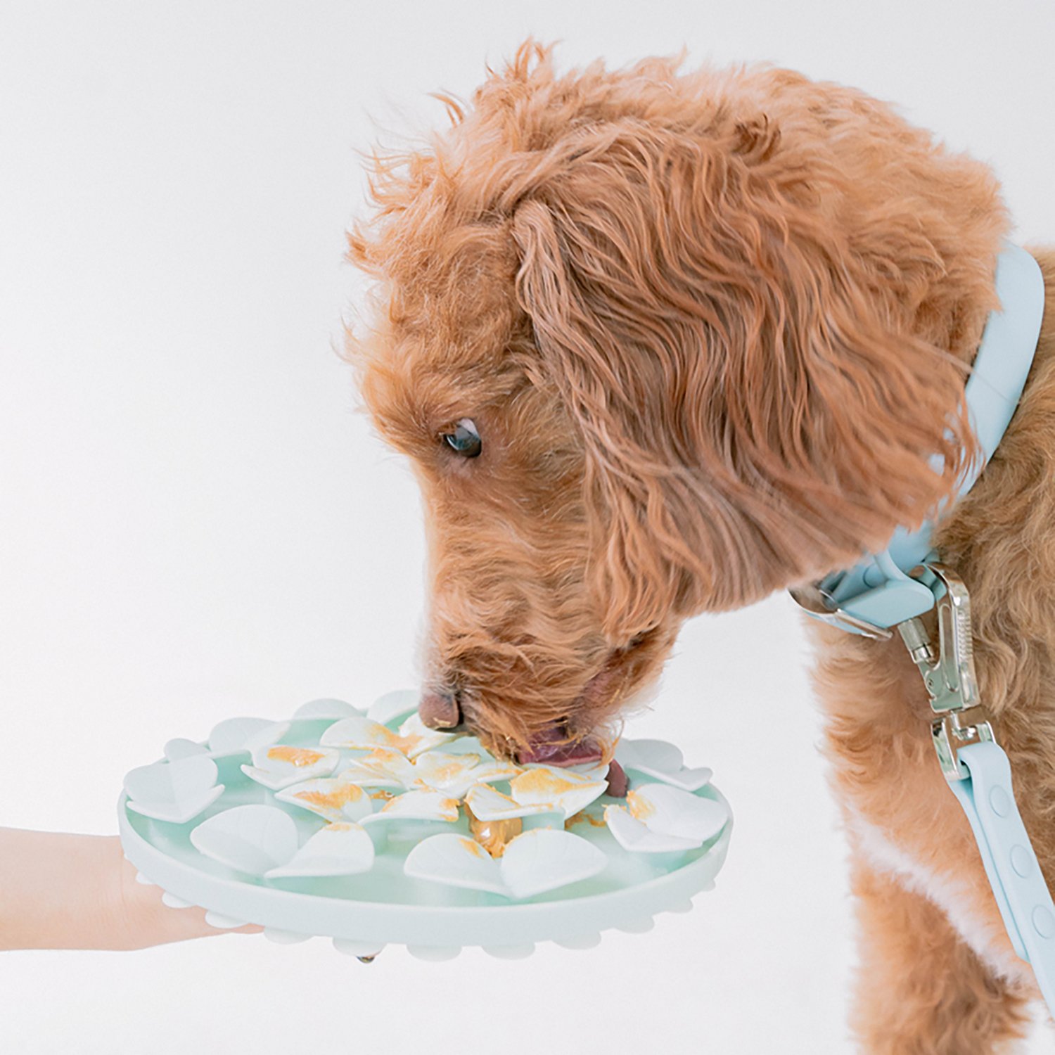 Dexypaws Circle Enrichment Snuffle Mat - view number 3