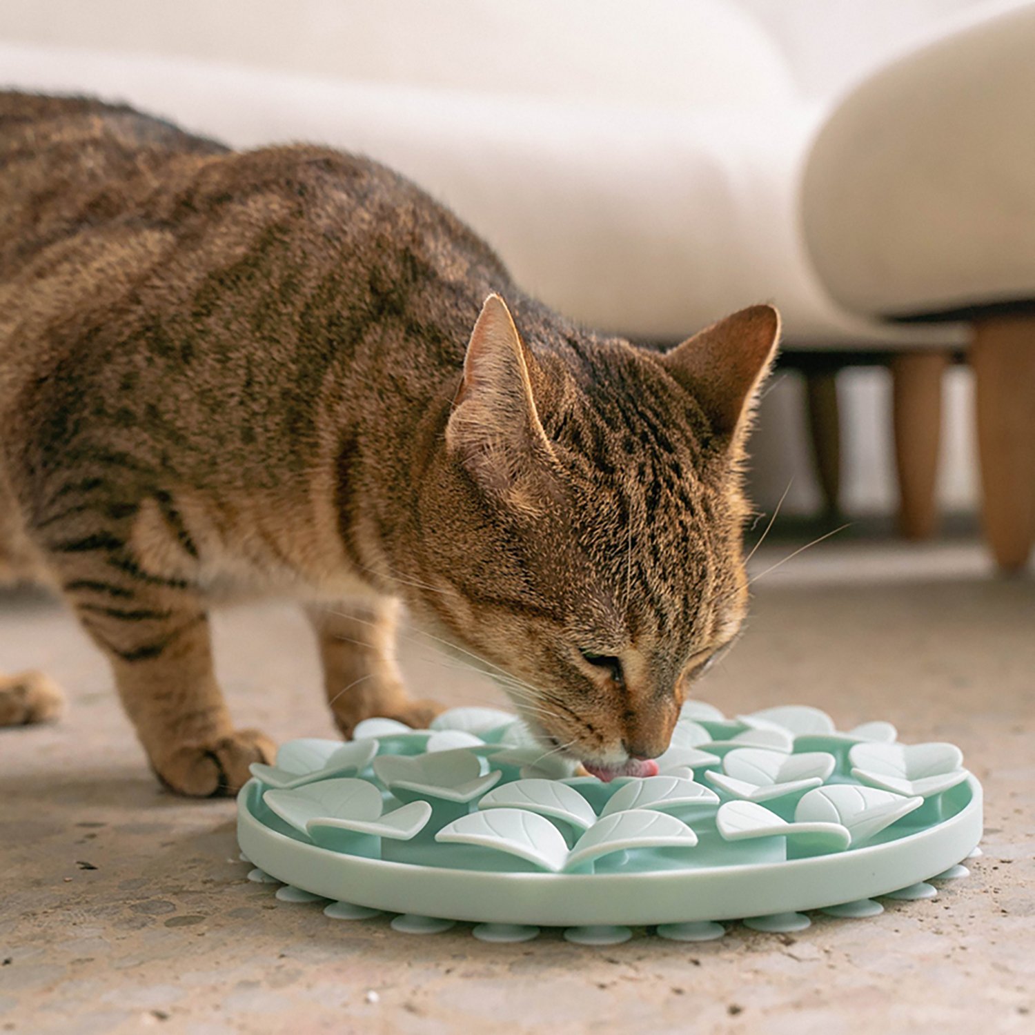 Dexypaws Circle Enrichment Snuffle Mat - view number 4