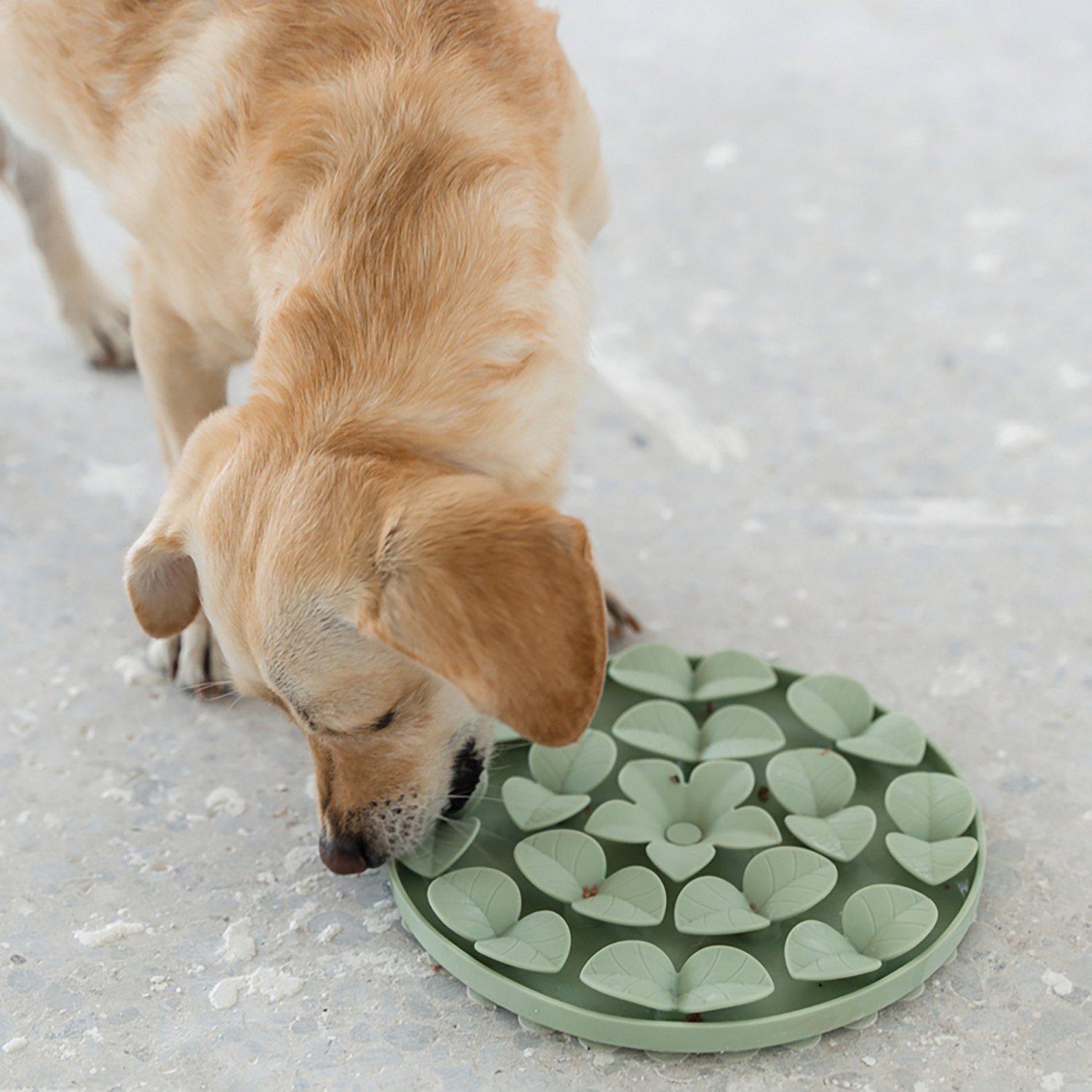Dexypaws Circle Enrichment Snuffle Mat - view number 3