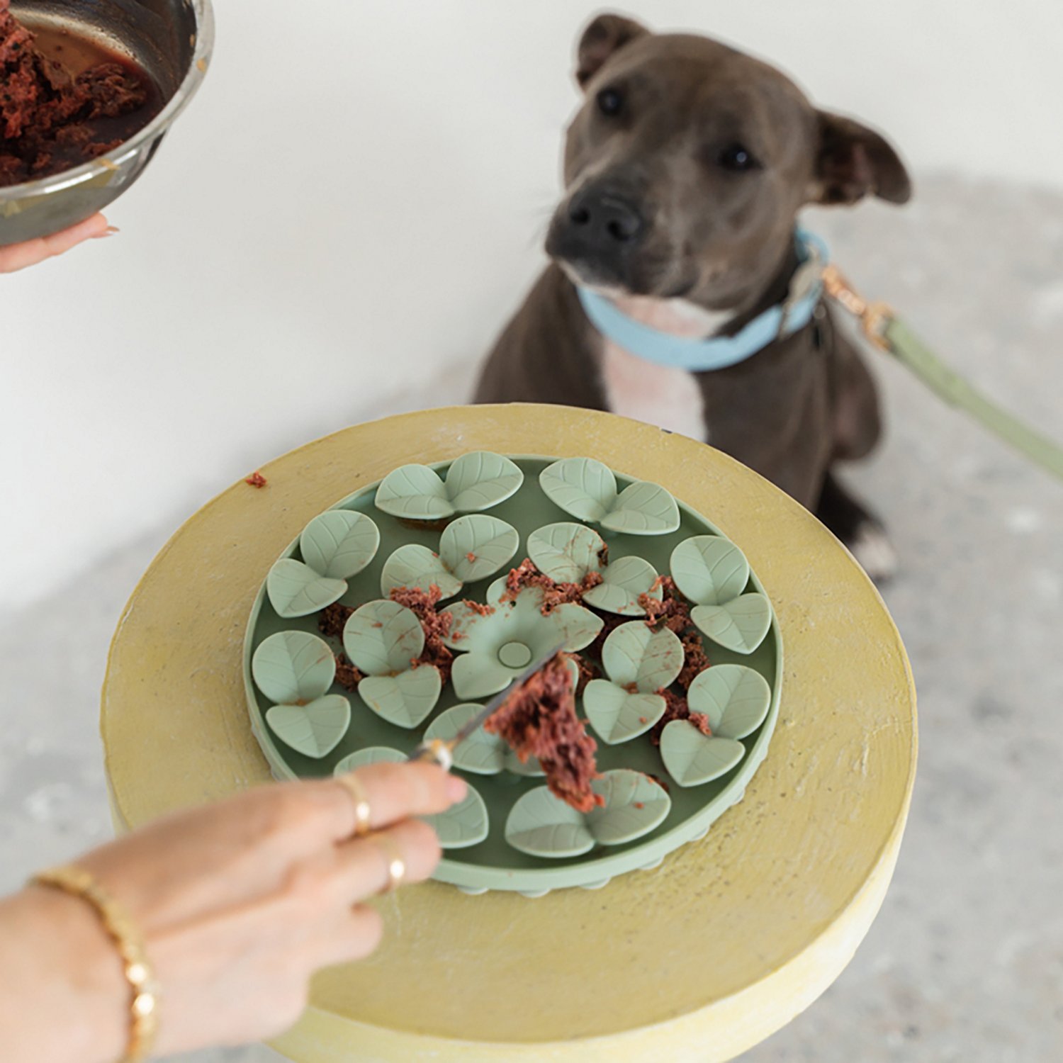 Dexypaws Circle Enrichment Snuffle Mat - view number 4