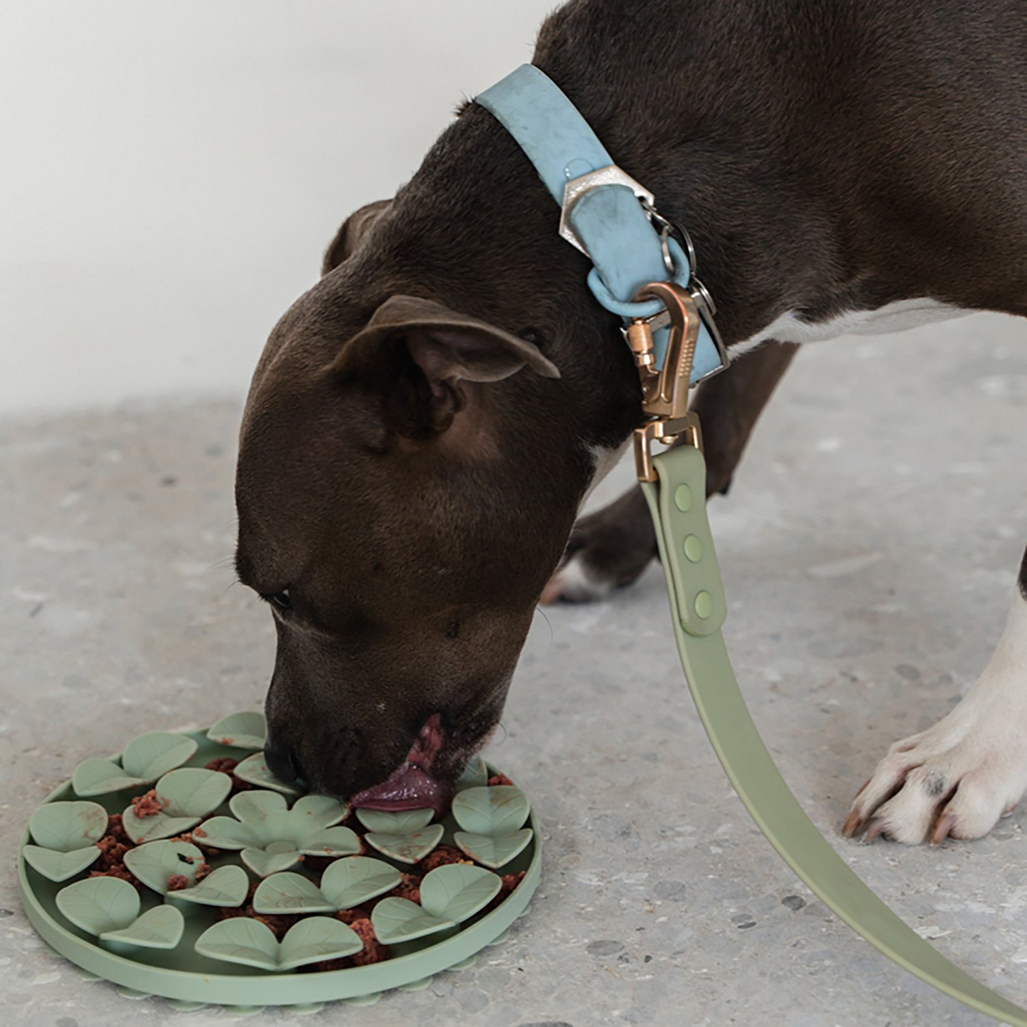 Dexypaws Circle Enrichment Snuffle Mat - view number 5