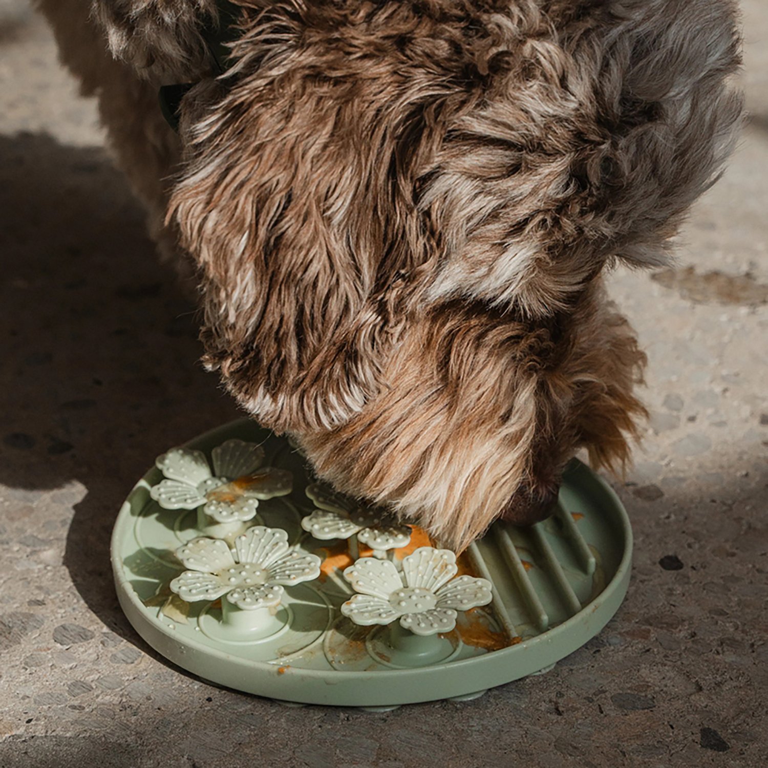 Dexypaws Hide & Seek Slow Feeder - view number 4
