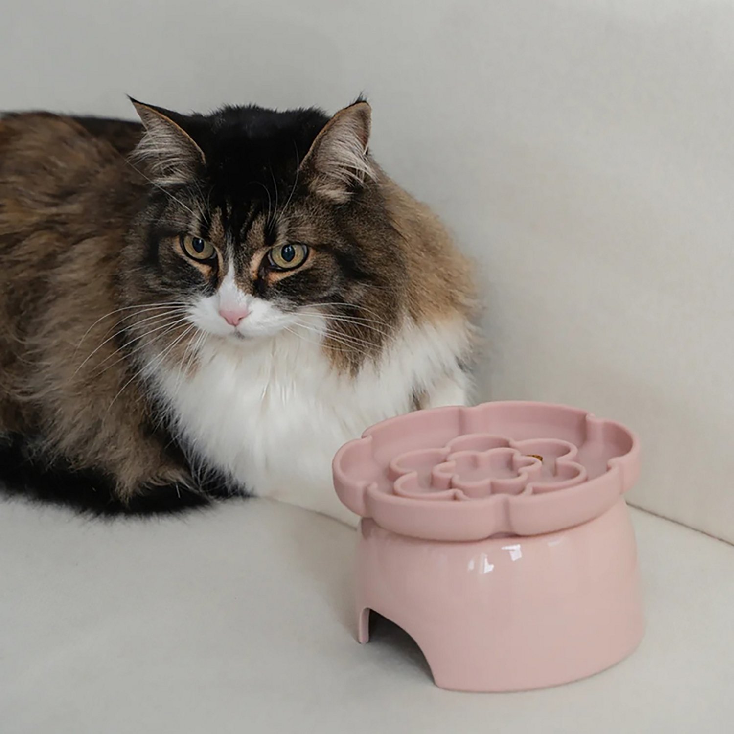 Dexypaws Flower Elevated Slow Feeder - view number 2