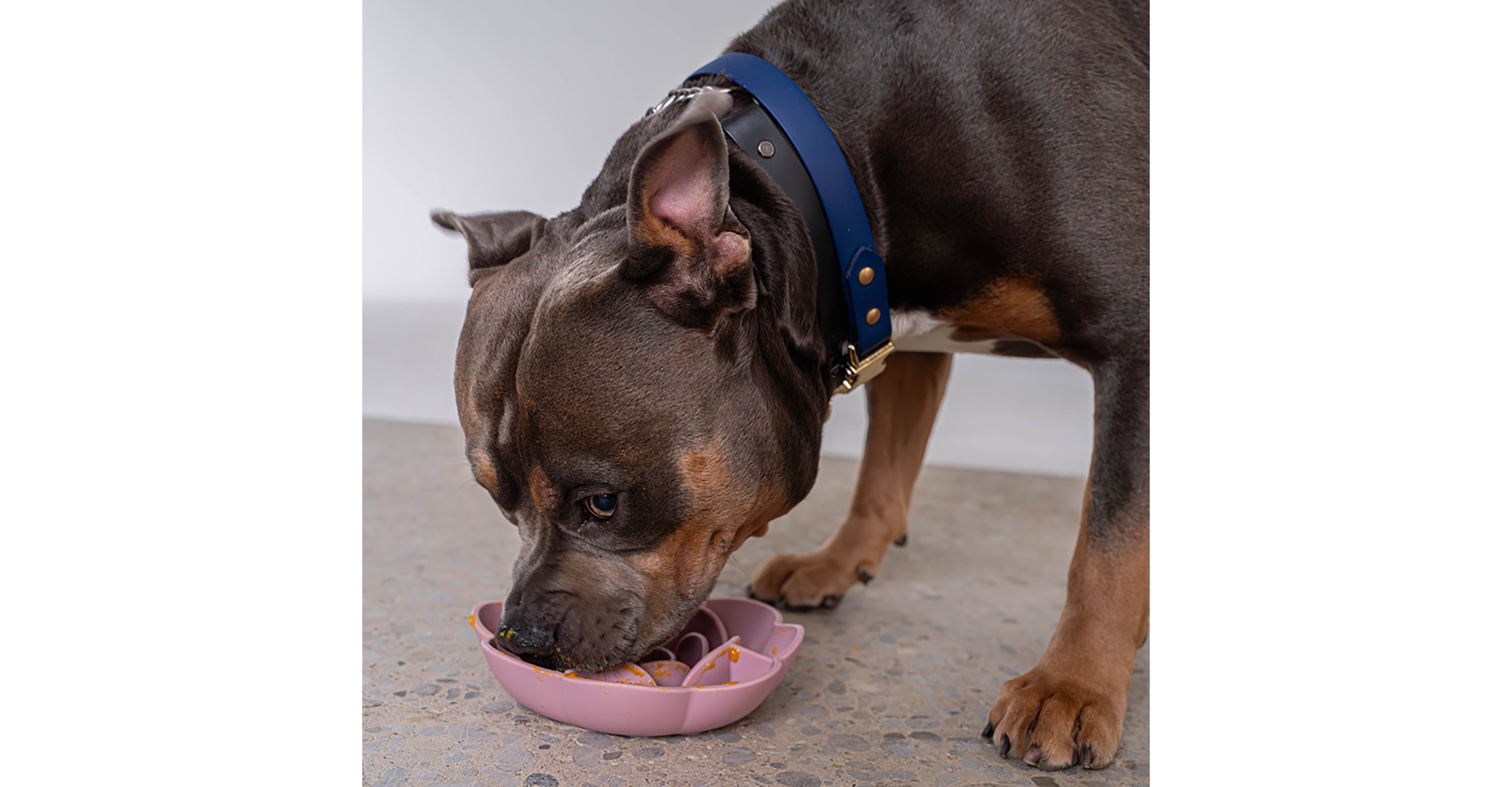 Dexypaws Blush Pink Flower Slow Feeder