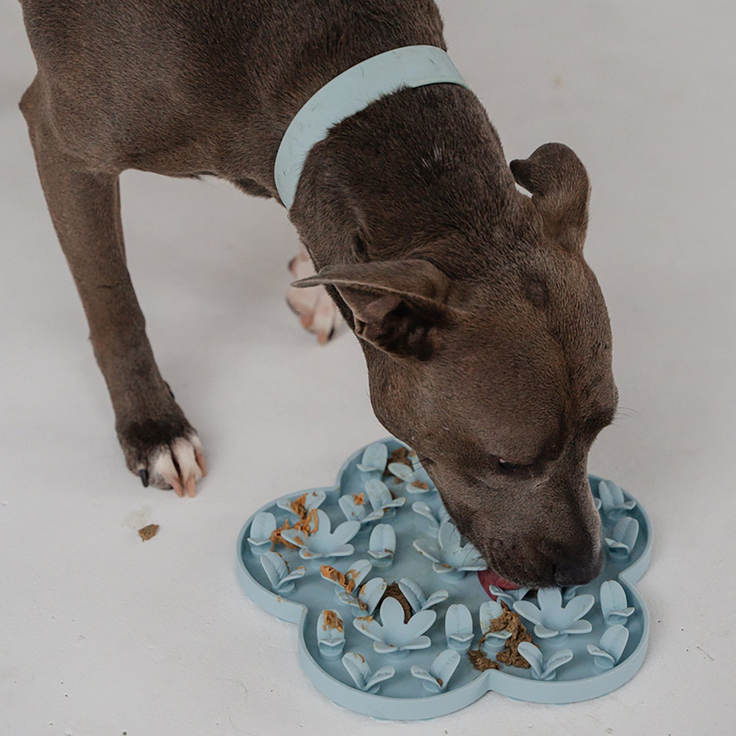 Dexypaws Sky Blue Flower Enrichment Snuffle Mat - view number 3