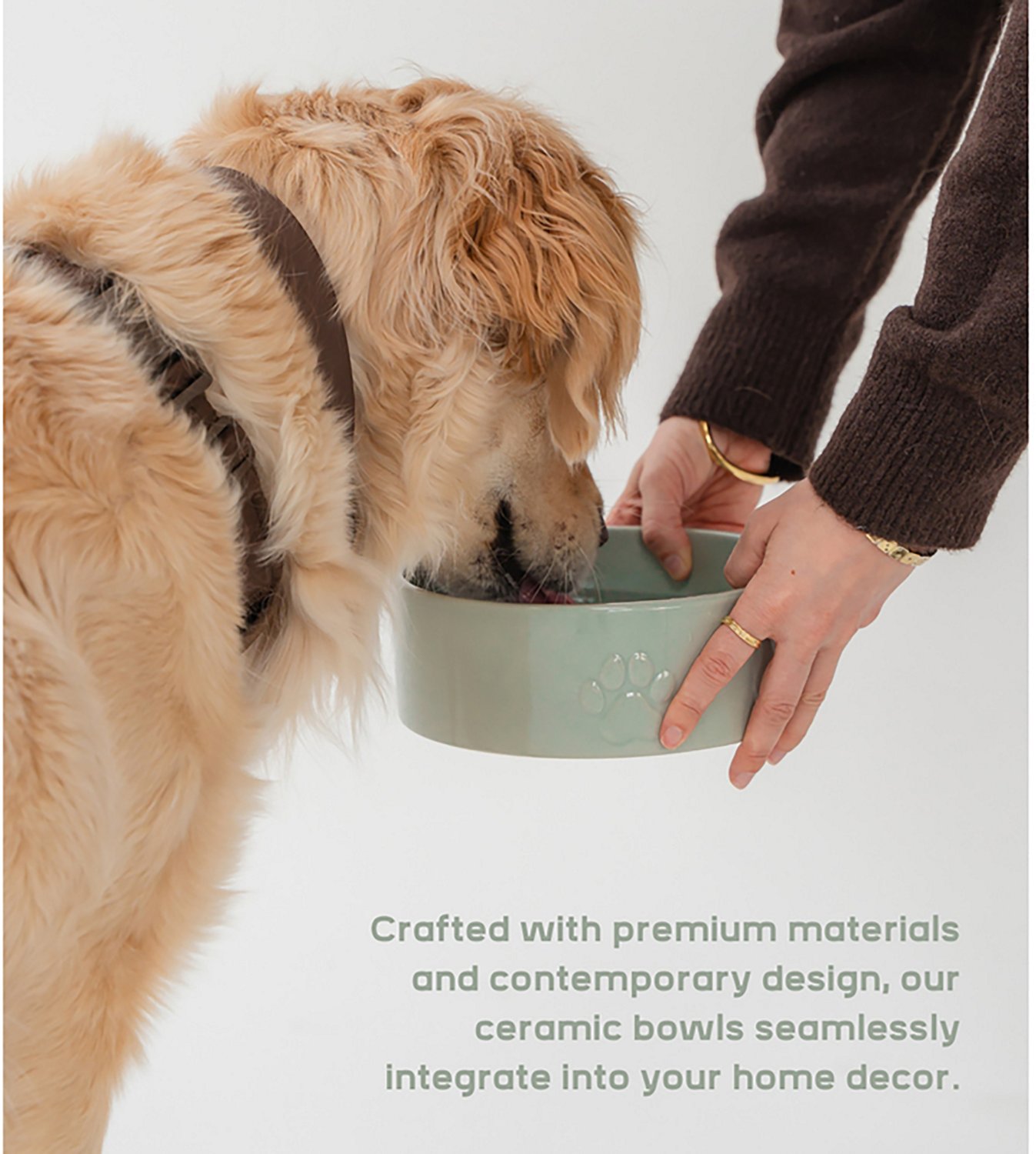 Dexypaws 26 oz Dog Bowl - view number 6