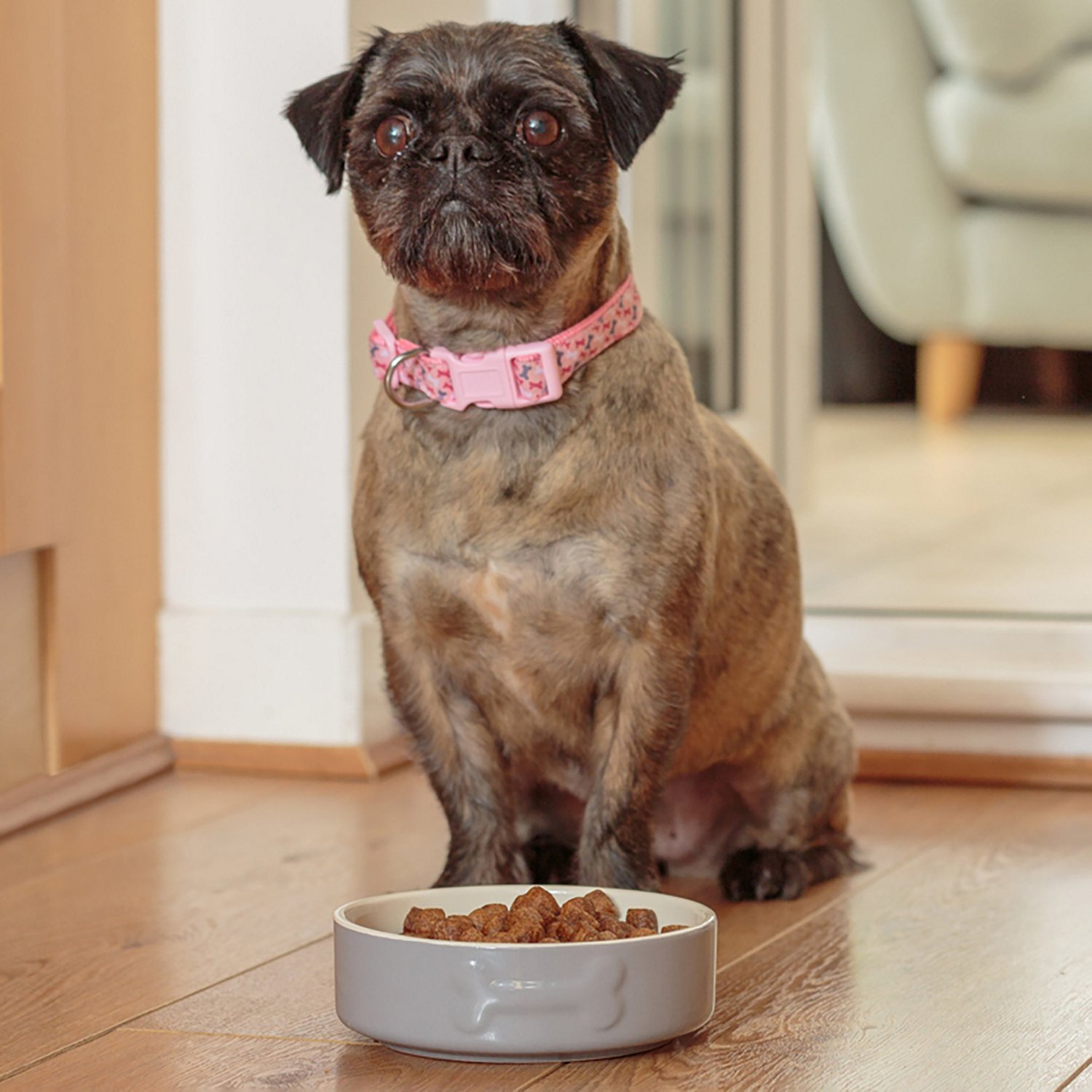 Mason Cash Embossed Bone Dog Bowl - view number 3