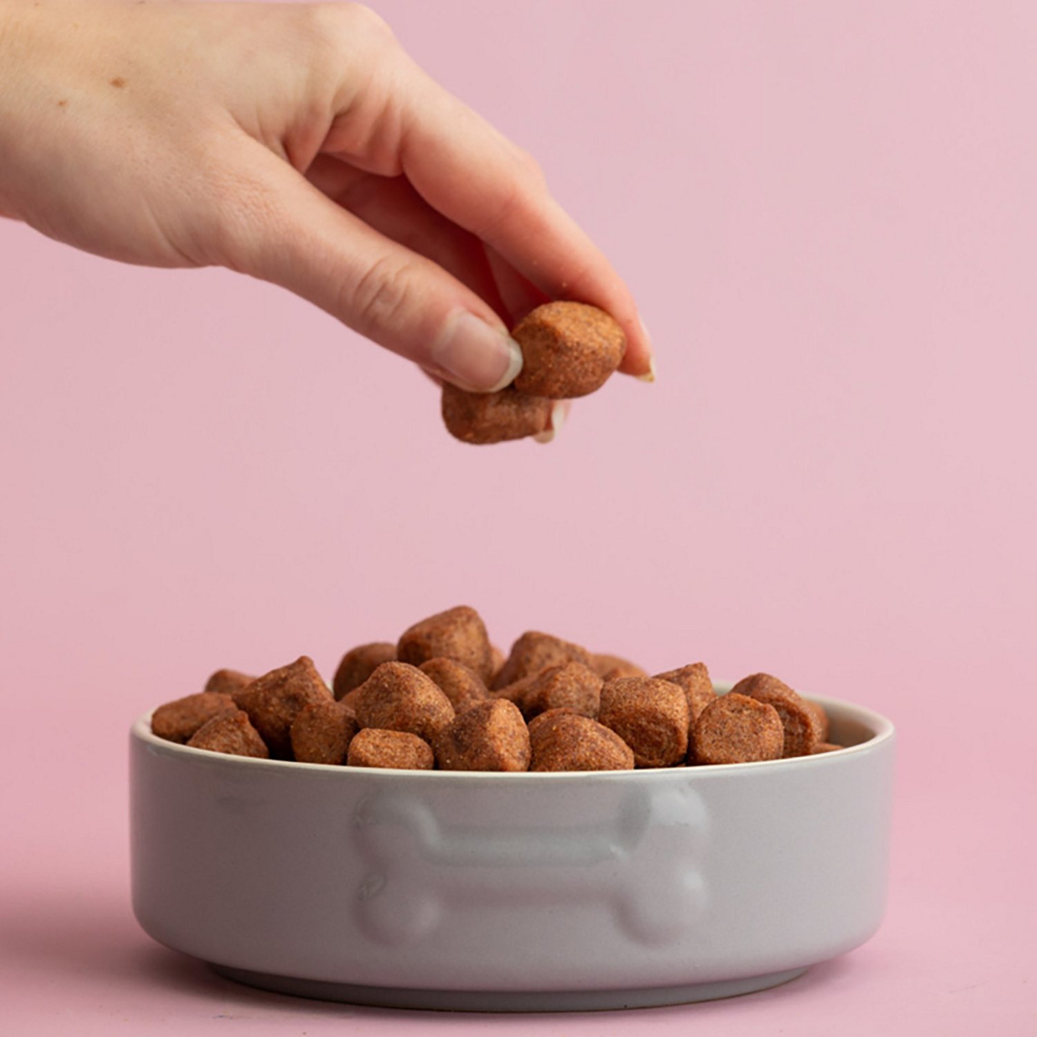 Mason Cash Embossed Bone Dog Bowl - view number 4