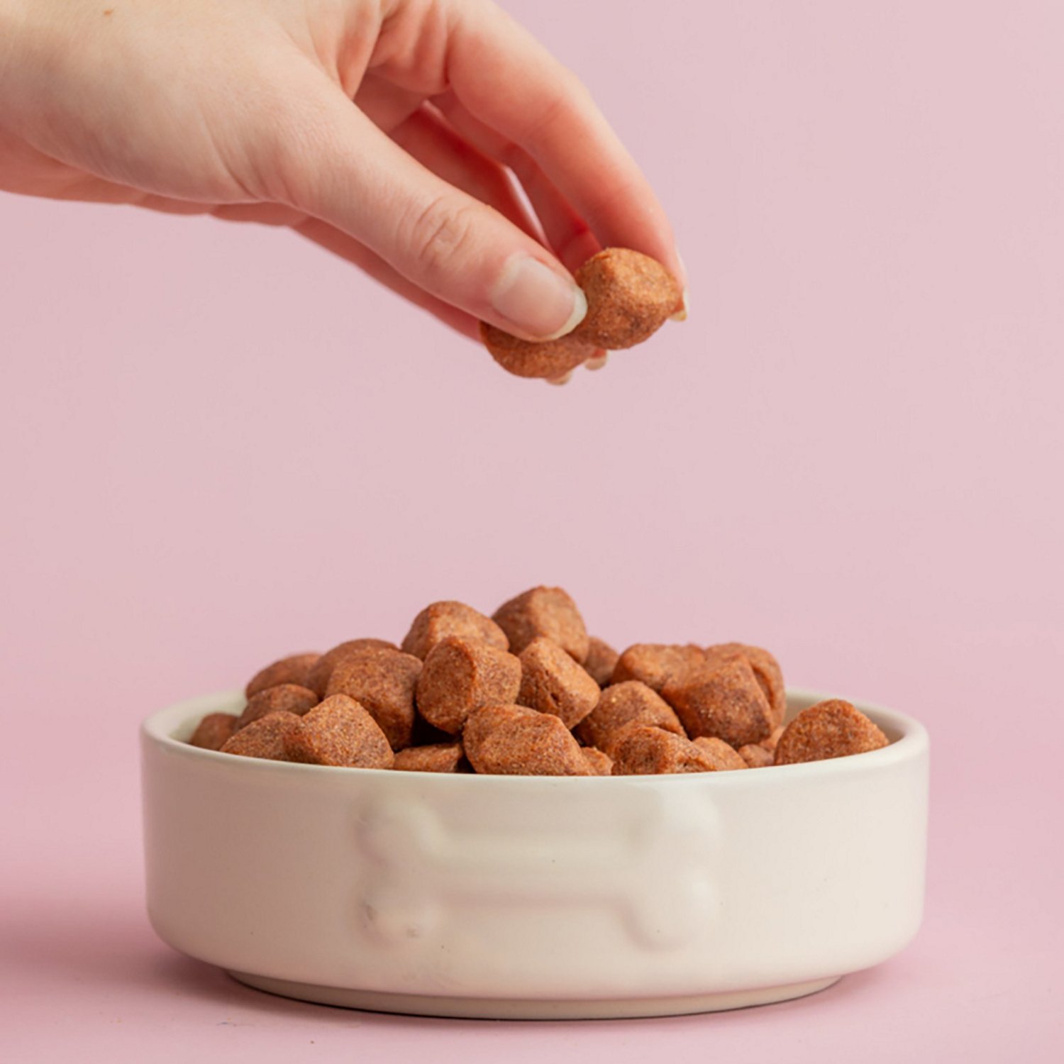 Mason Cash Embossed Bone Dog Bowl - view number 4