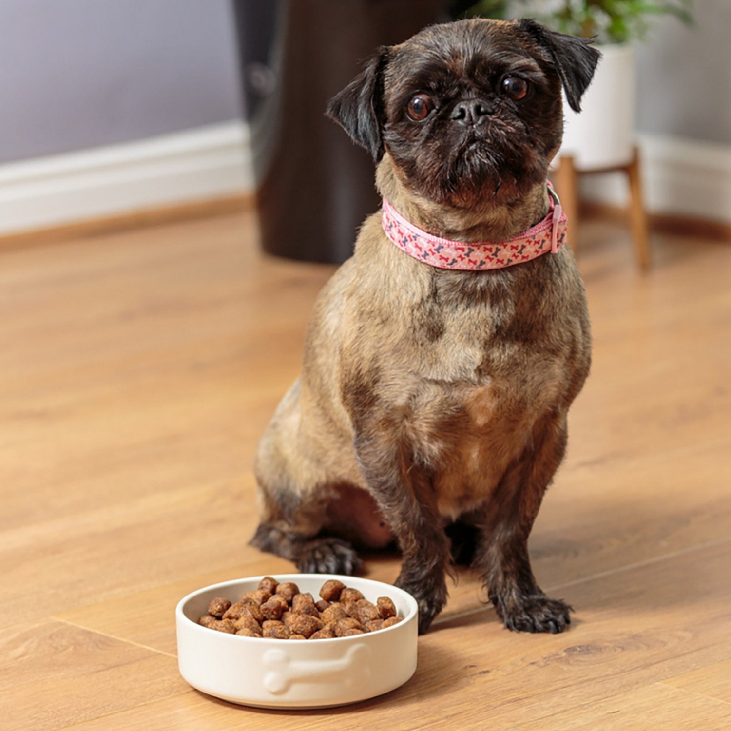 Mason Cash Embossed Bone Dog Bowl - view number 6