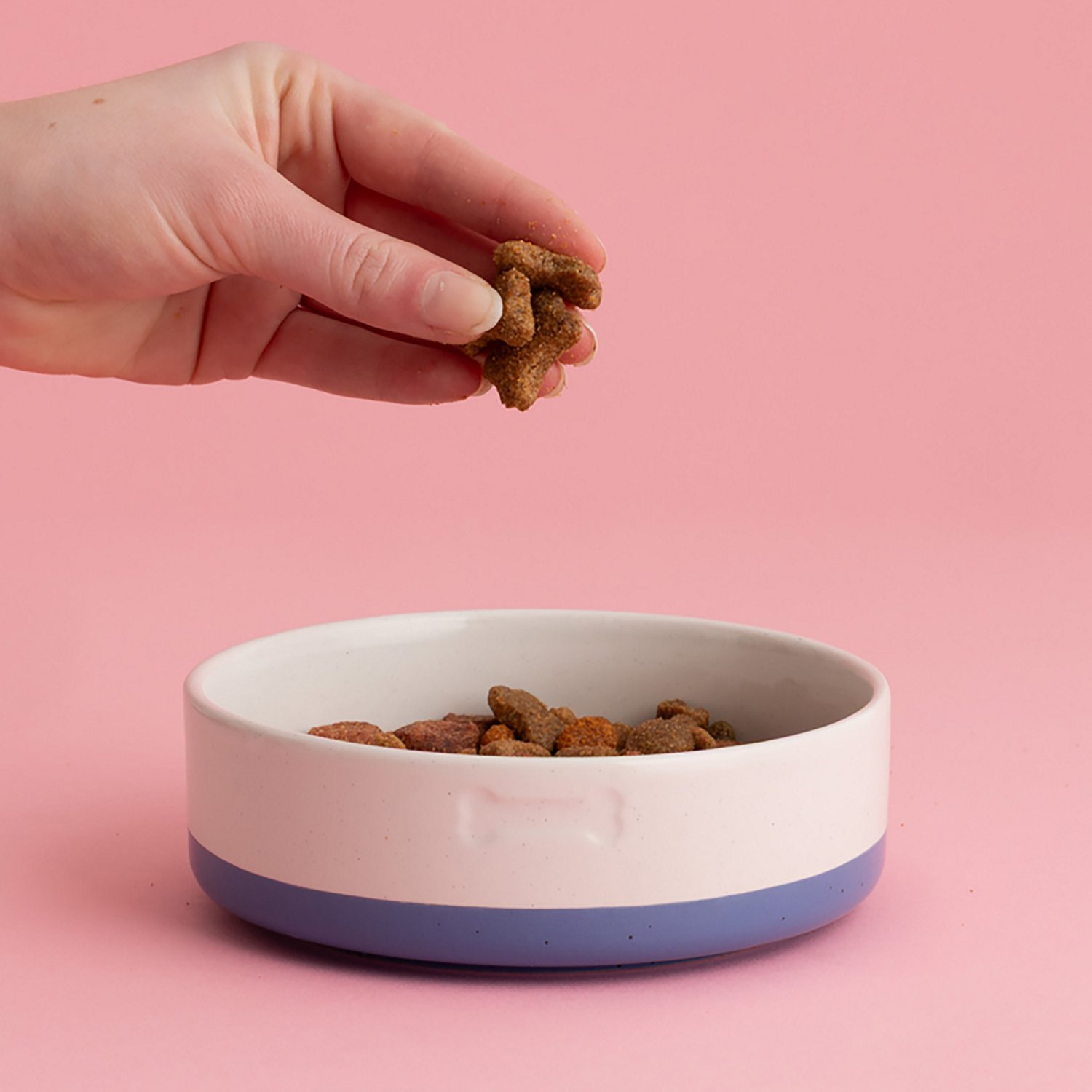 Mason Cash Speckle Dip Dog Bowl - view number 2