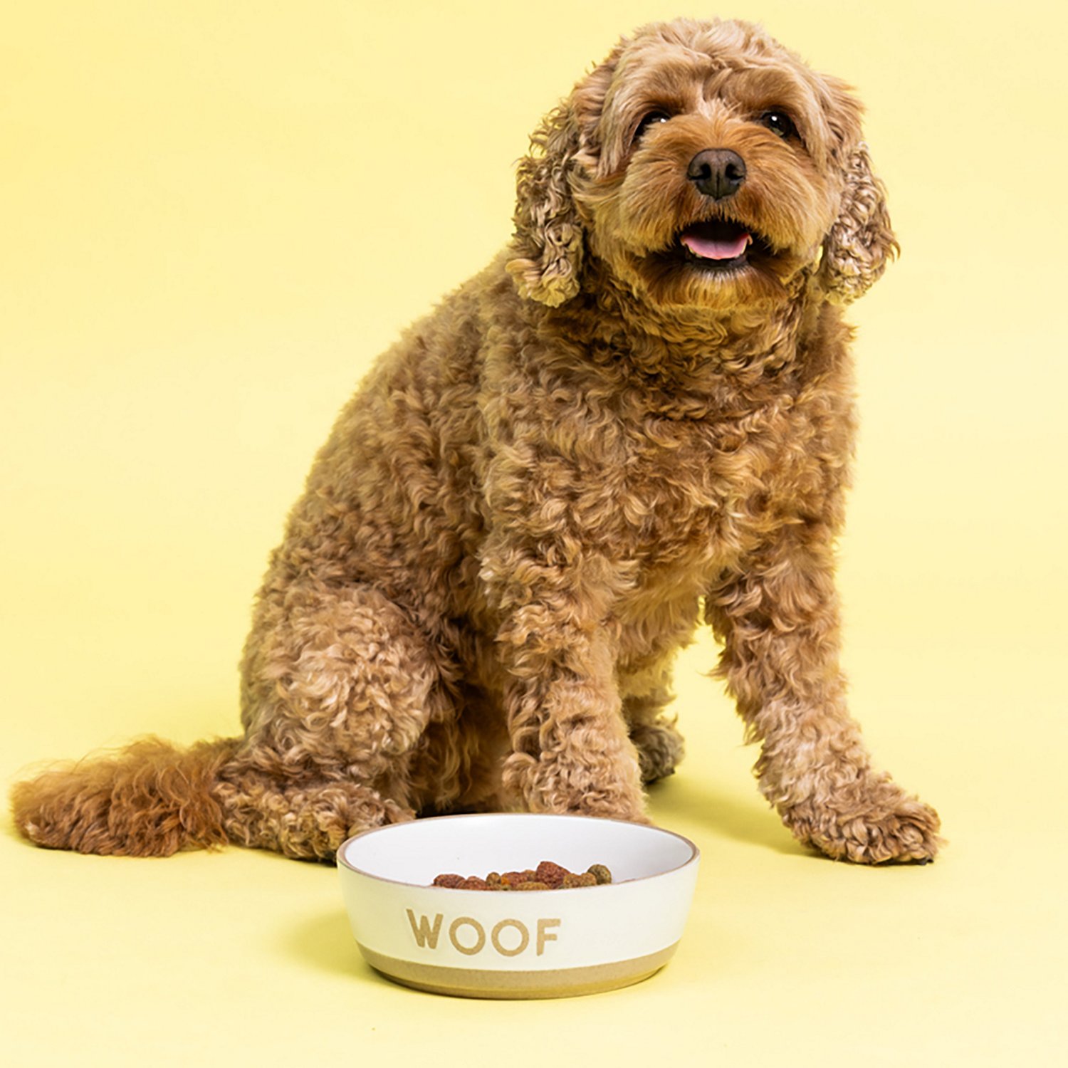 Mason Cash Woof Dog Bowl - view number 5