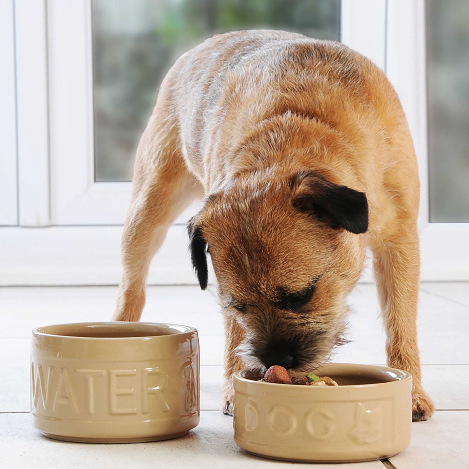 Mason Cash Cane Dog Bowl - view number 5