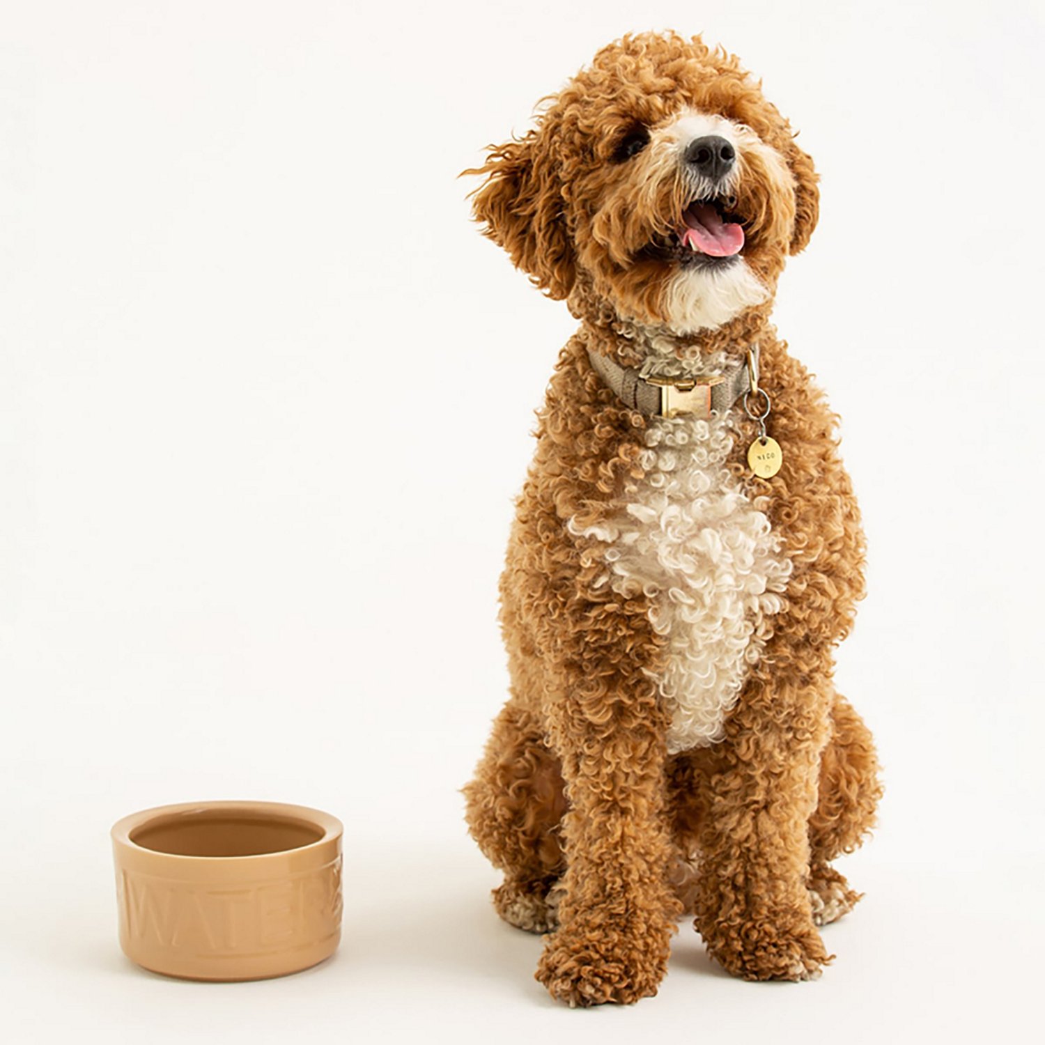 Mason Cash Cane Dog Bowl - view number 6