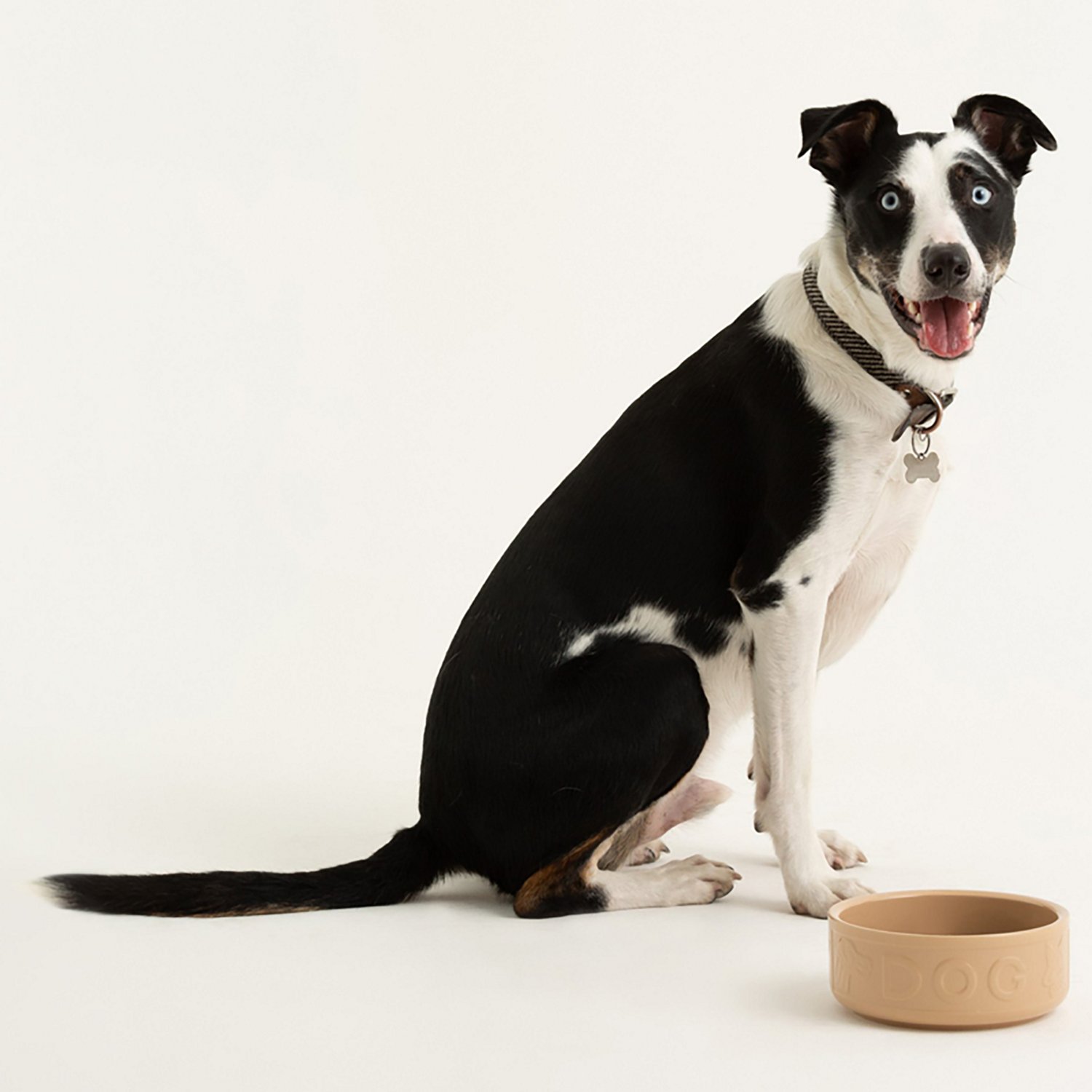 Mason Cash 7 in Dog Bowl Cane - view number 3