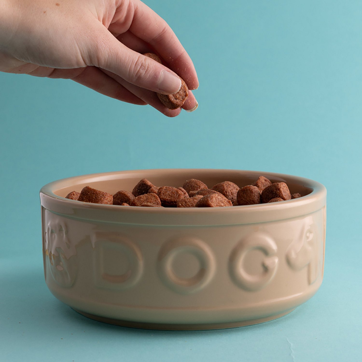 Mason Cash 7 in Dog Bowl Cane - view number 4