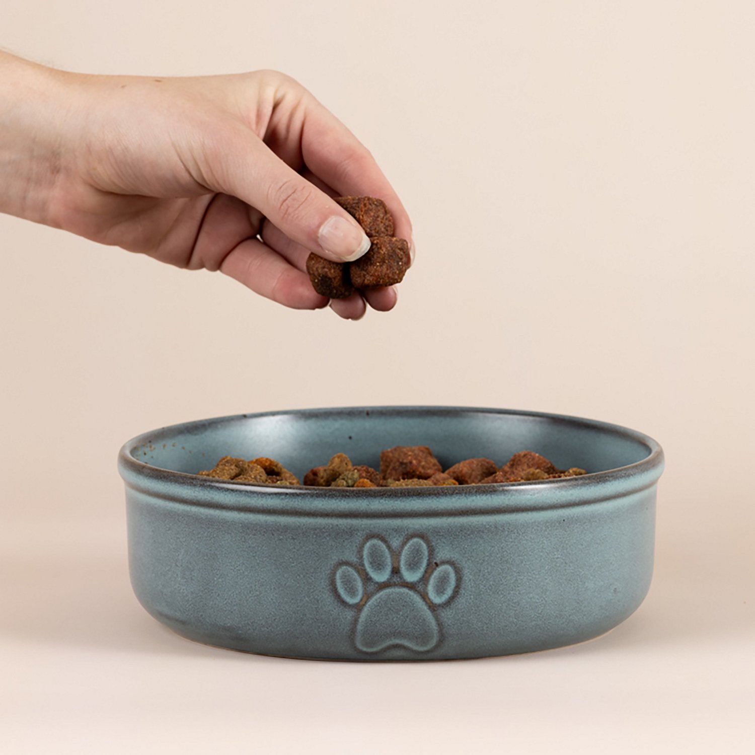 Mason Cash Reactive Paw Dog Bowl - view number 4