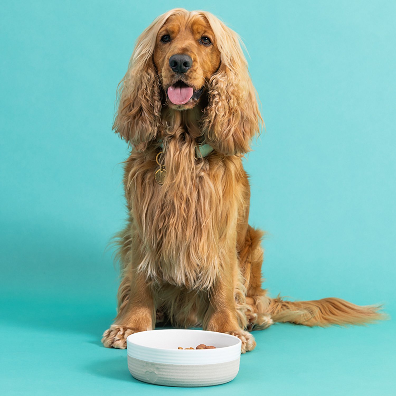 Mason Cash Heart Paw Dog Bowl - view number 3