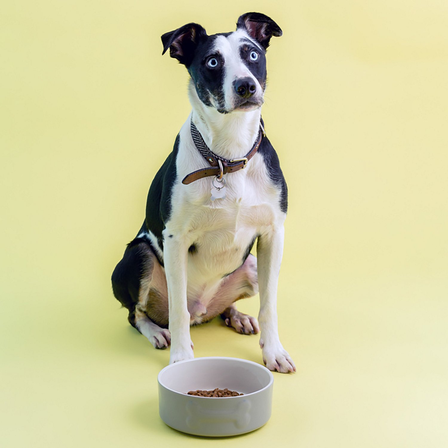 Mason Cash Embossed Bone Dog Bowl - view number 3