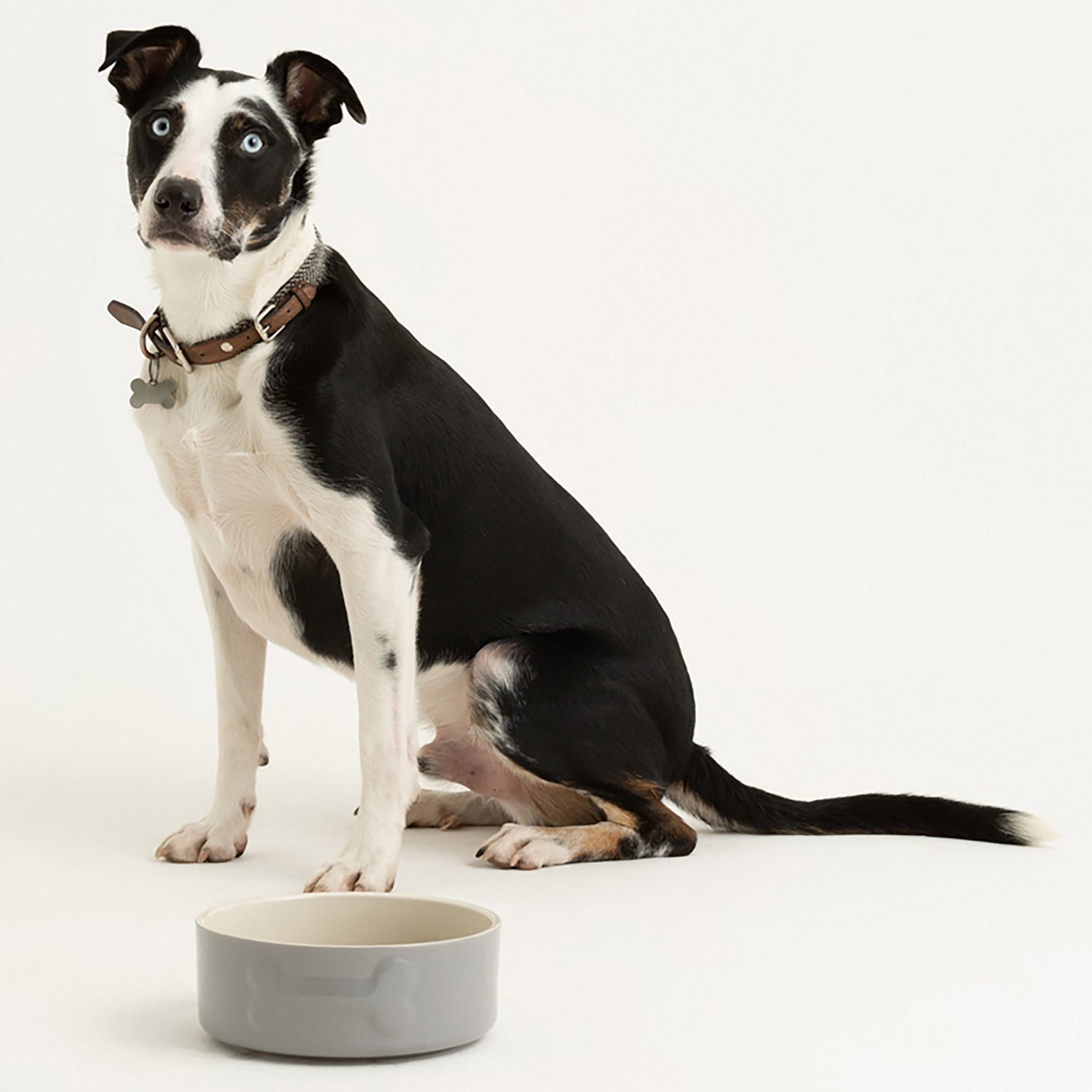 Mason Cash Embossed Bone Dog Bowl - view number 5