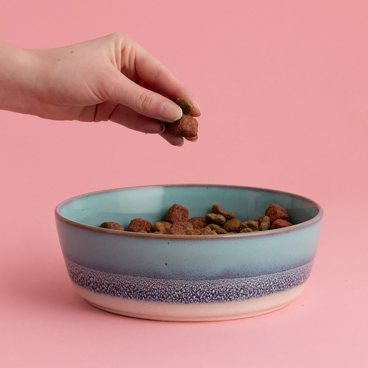 Mason Cash Reactive Fade Dog Bowl - view number 6