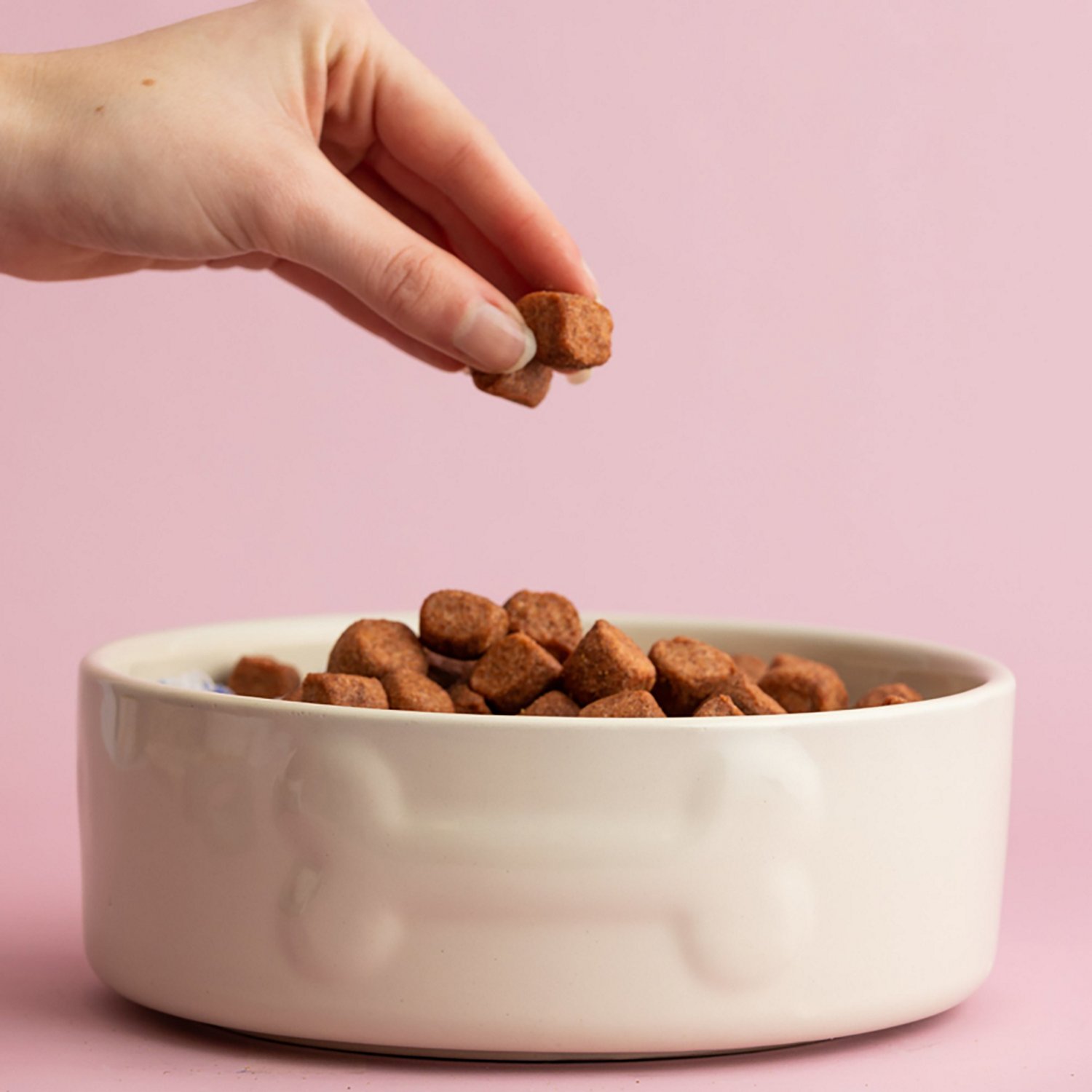 Mason Cash Embossed Bone Dog Bowl - view number 4