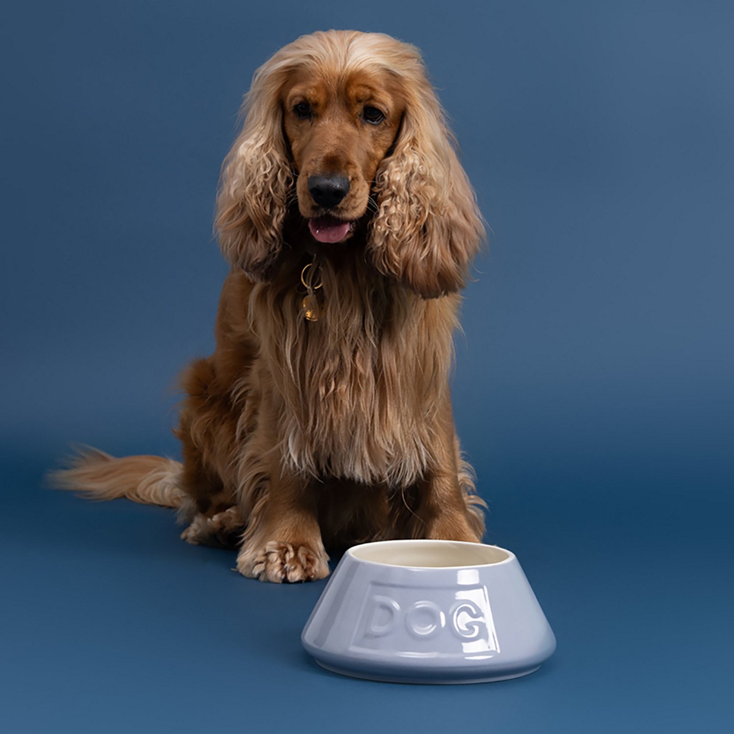 Mason Cash Non-Tip Dog Bowl - view number 4