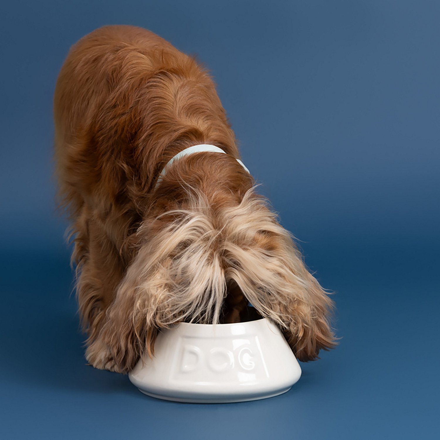 Mason Cash Non-Tip Dog Bowl - view number 6