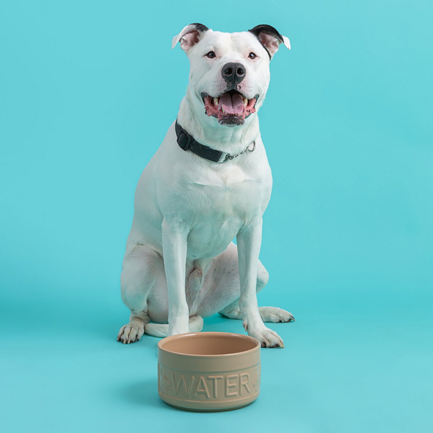 Mason Cash Cane Dog Bowl - view number 6