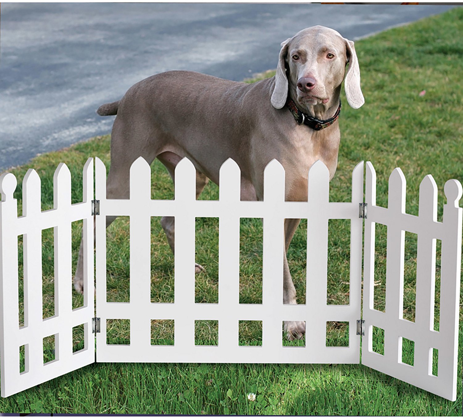 Etna Wooden White Picket Fence Pet Gate - view number 4